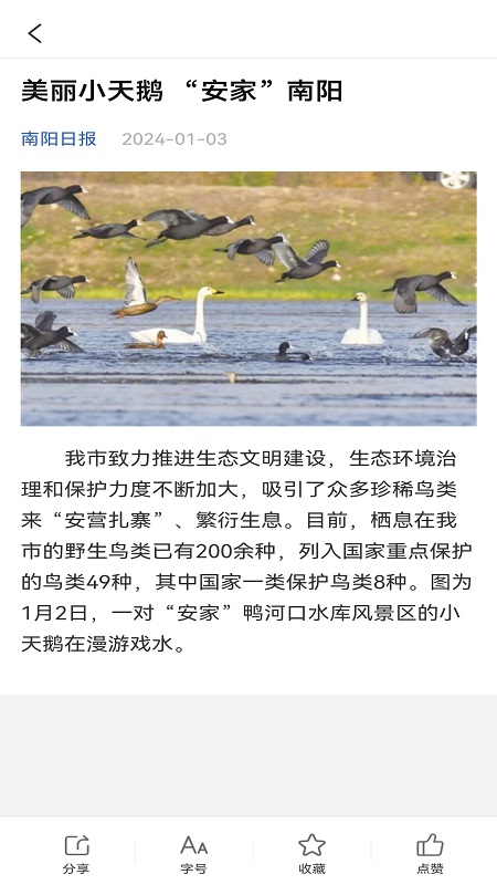 精彩截图-南阳政务2026官方新版