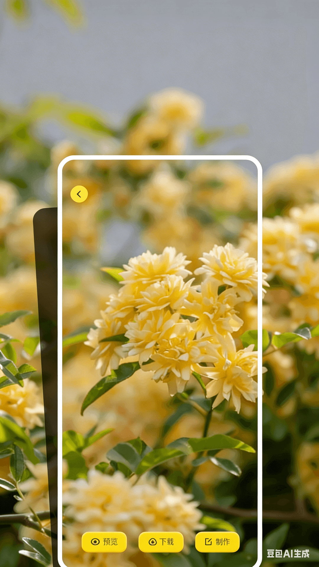 精彩截图-桌面壁纸精灵2026官方新版