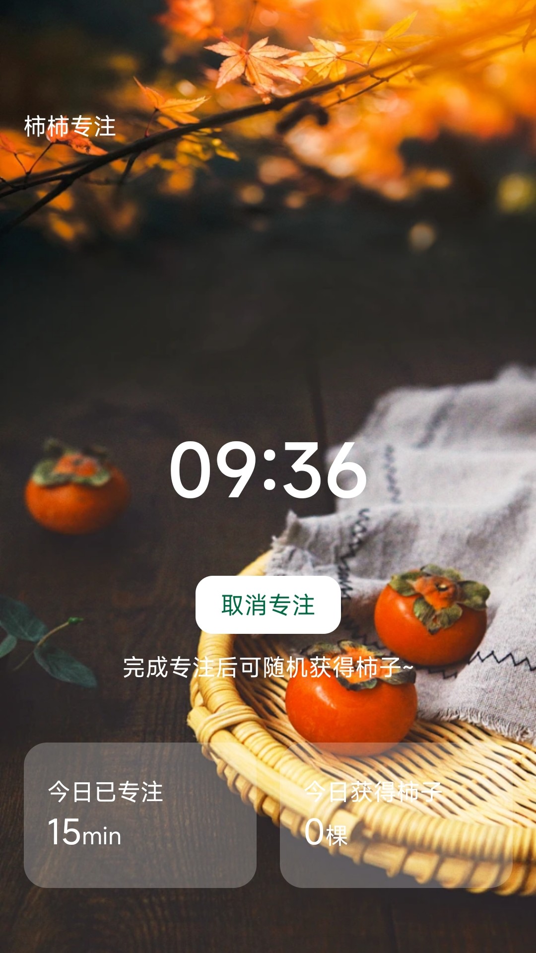 精彩截图-柿柿乐行2025官方新版