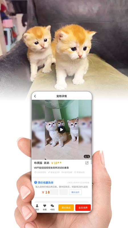 精彩截图-集咪舍2025官方新版