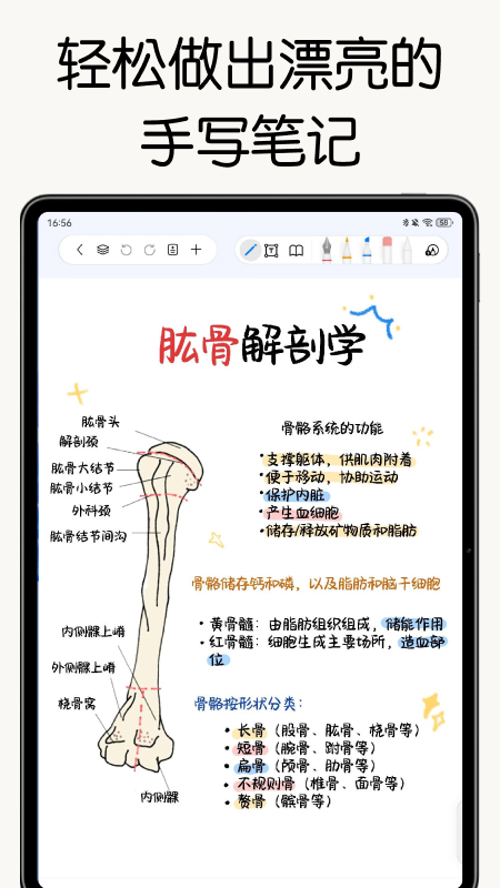 自由笔记截图