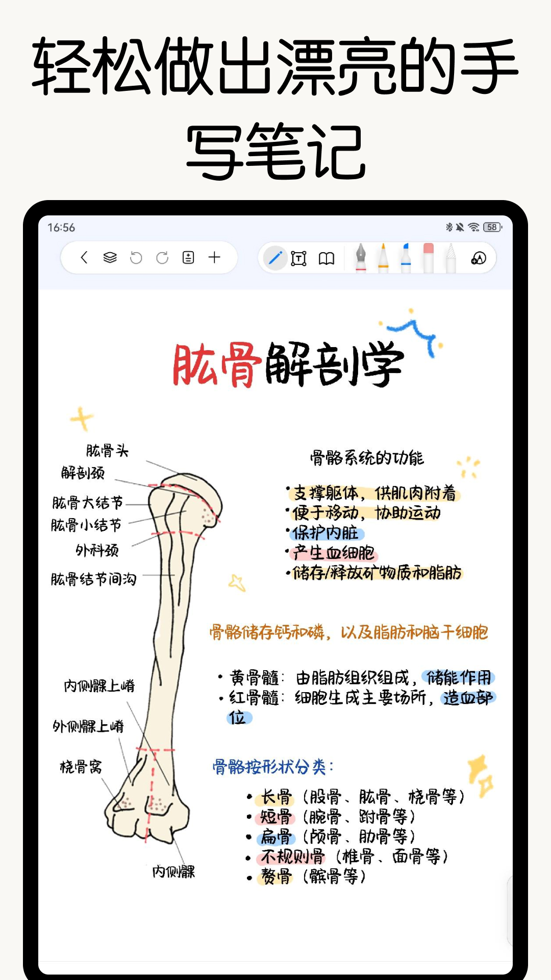 精彩截图-自由笔记2025官方新版