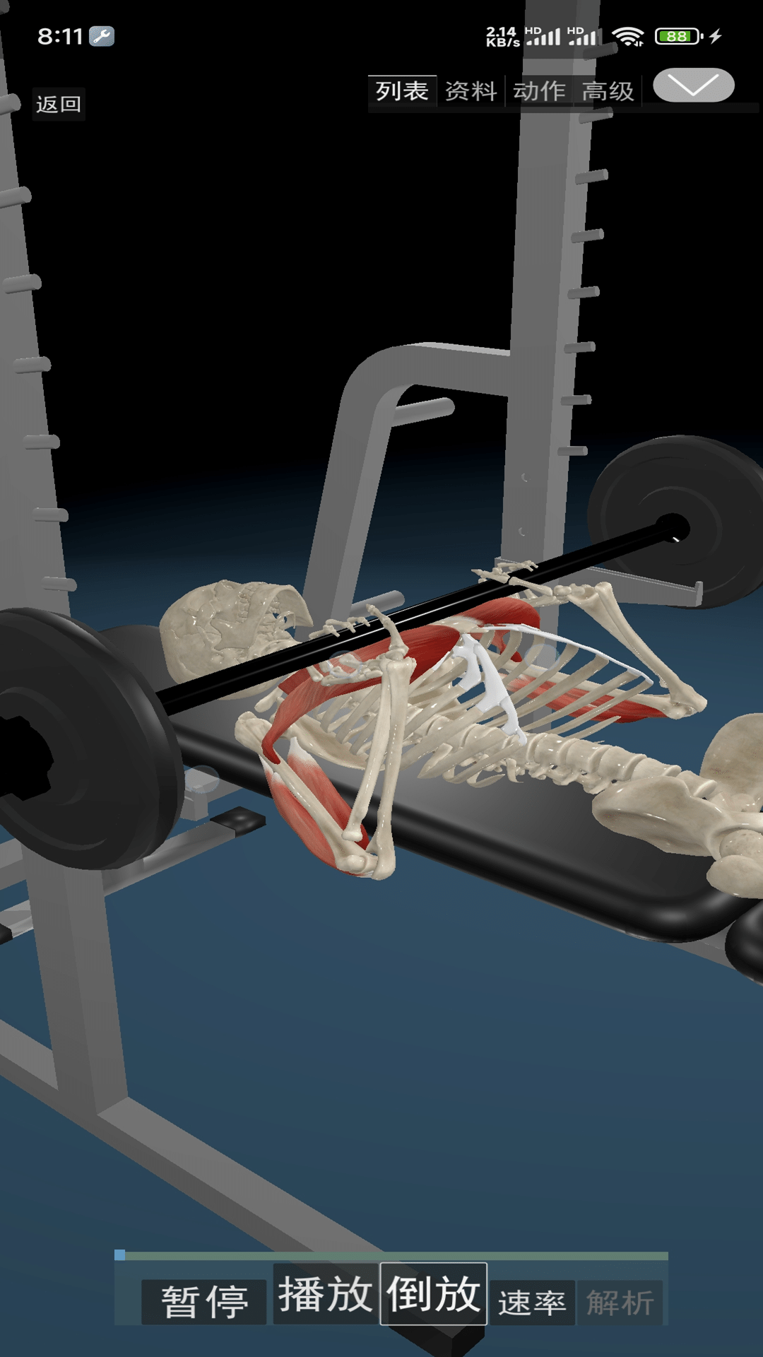 精彩截图-3D运动解剖2025官方新版