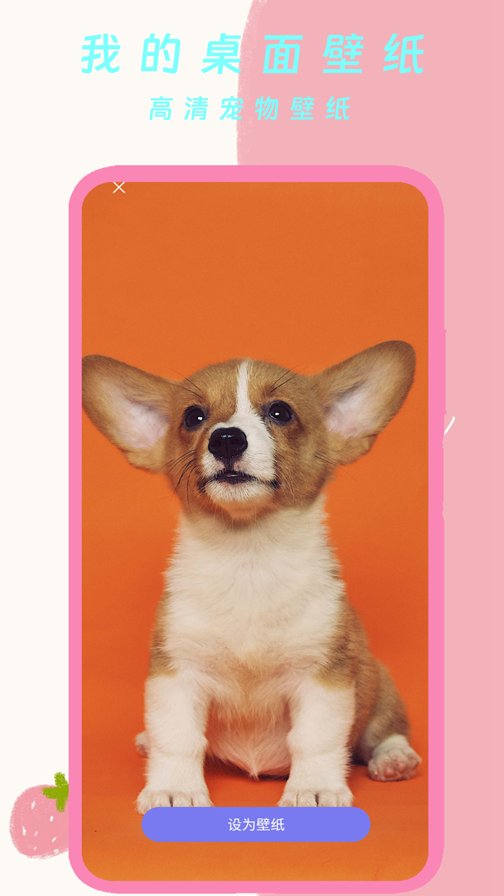 精彩截图-我的桌面壁纸2026官方新版