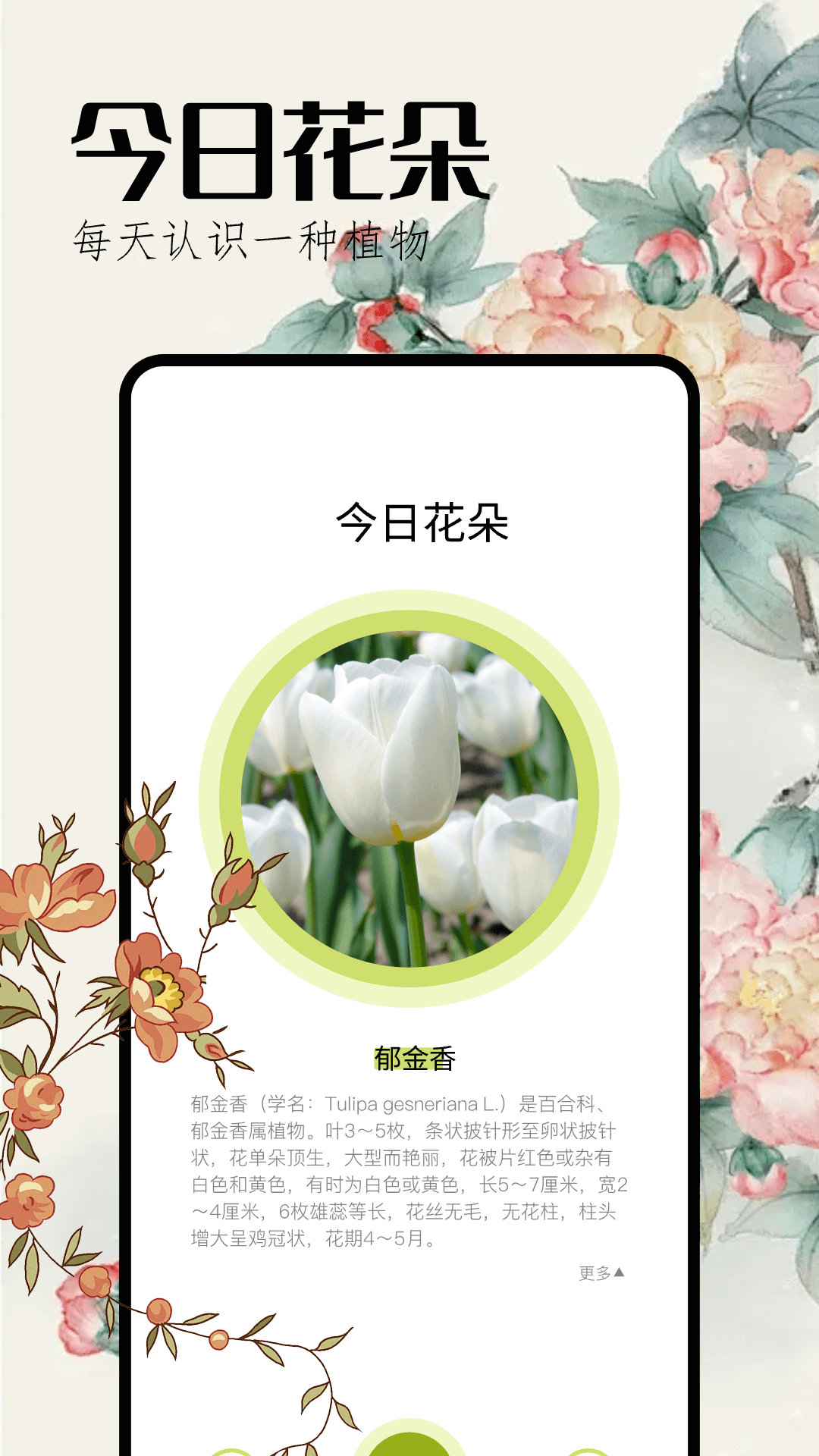 精彩截图-花草妙识2025官方新版