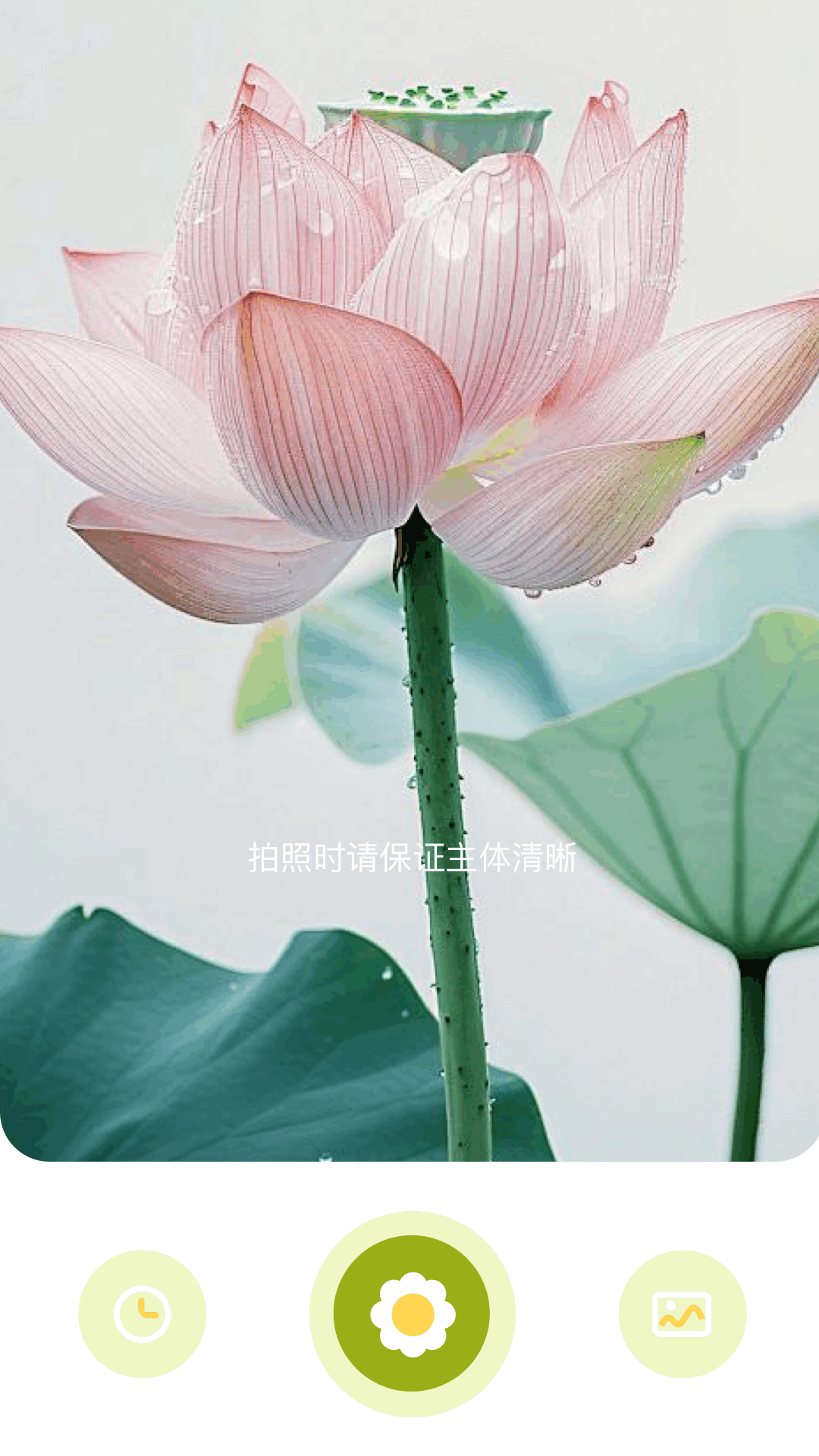 精彩截图-花草妙识2026官方新版