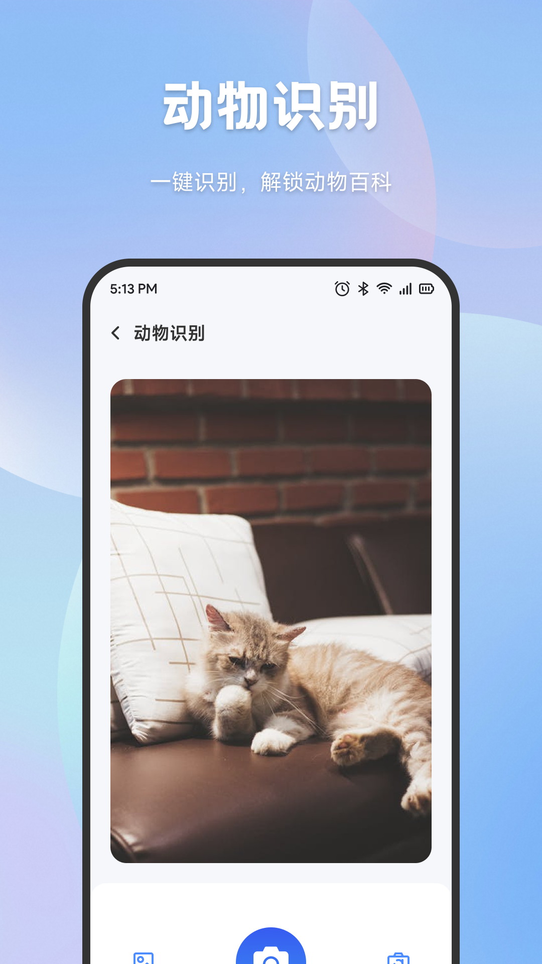 精彩截图-手机搬家互传2026官方新版