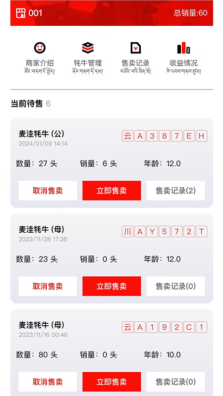 精彩截图-高原牦牛2025官方新版