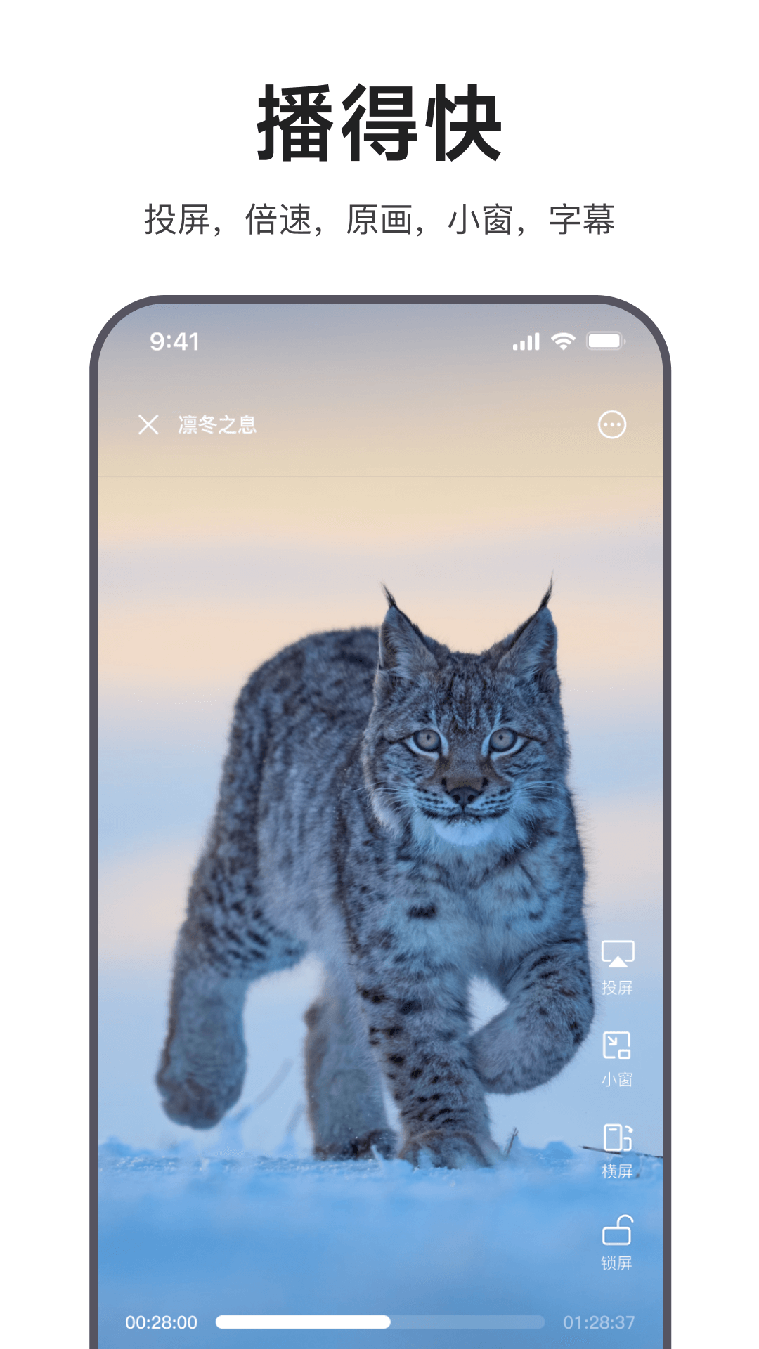 精彩截图-迅雷浏览器2025官方新版