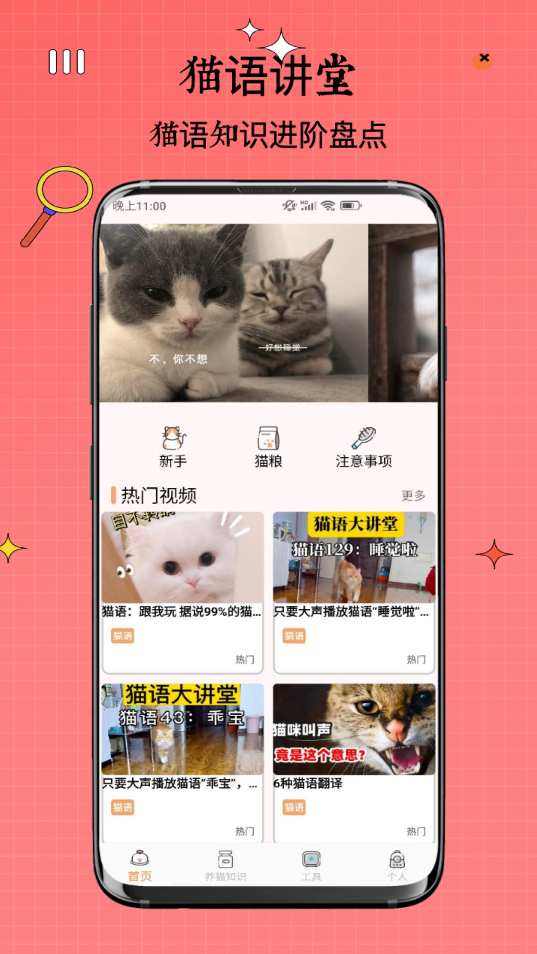 喵上 截图 1
