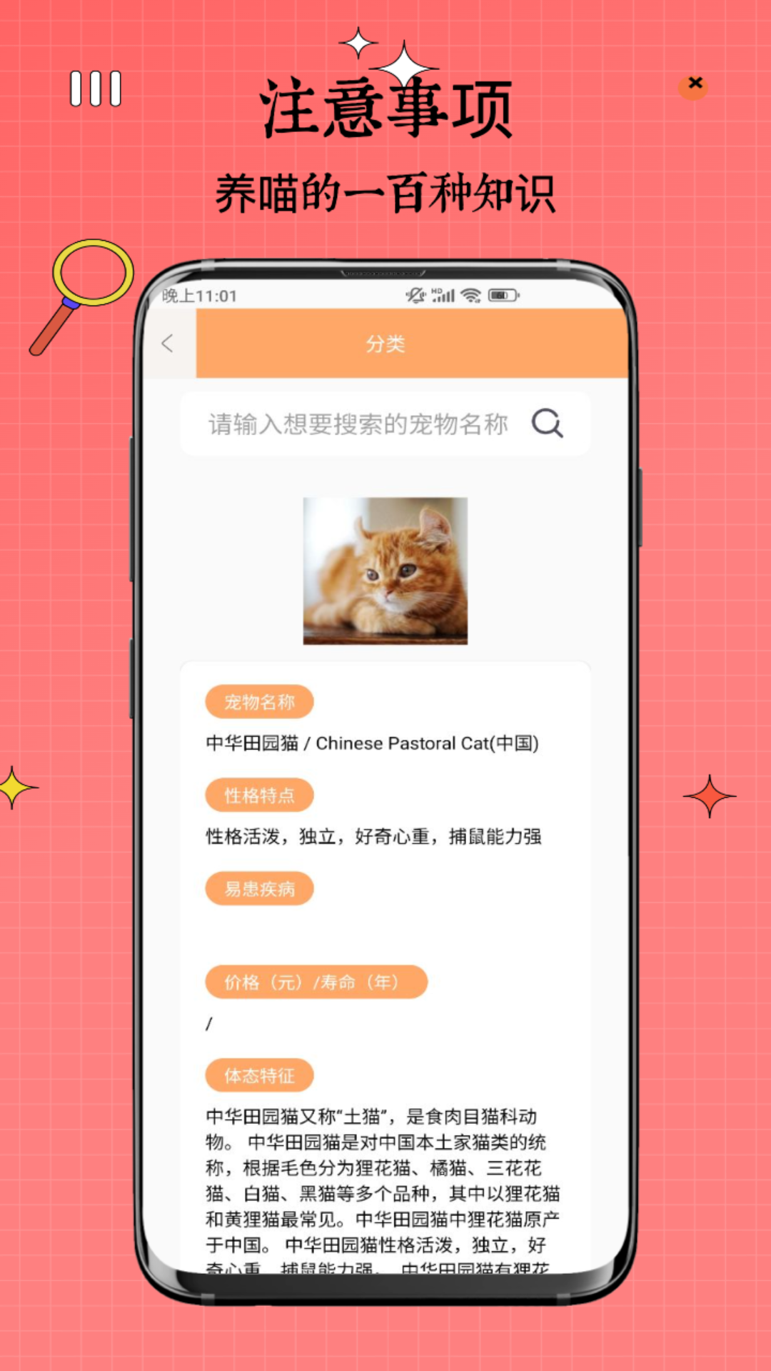 精彩截图-喵上2025官方新版