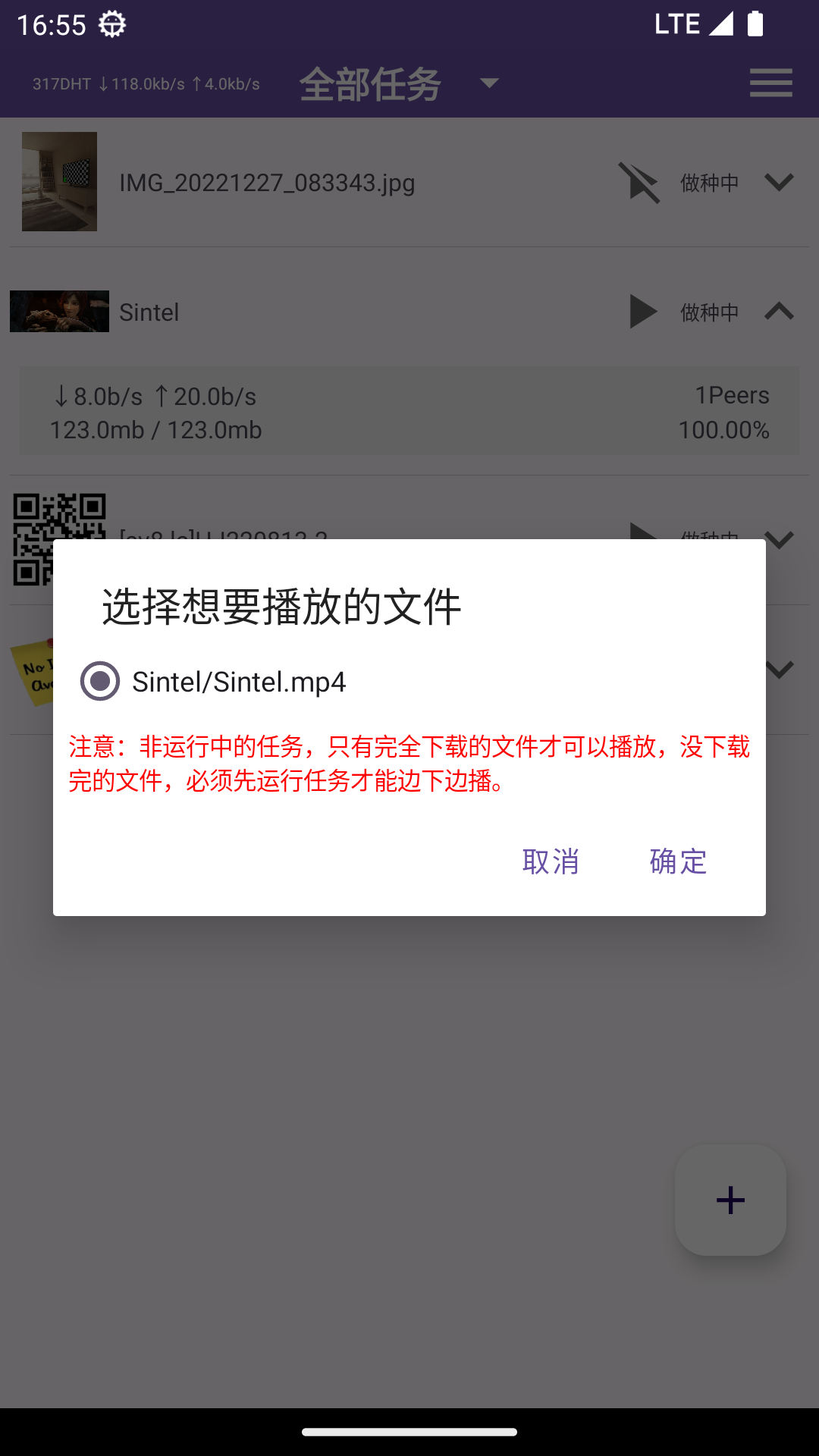 精彩截图-TorrentPlayer2026官方新版
