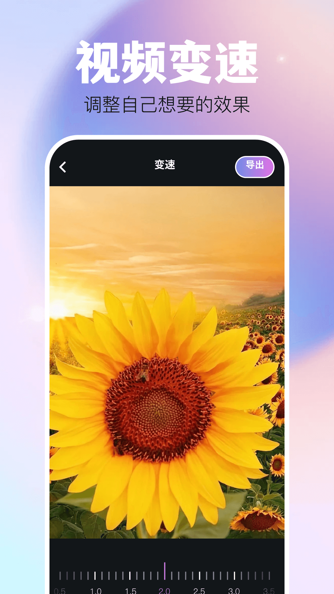 精彩截图-黑猪侠2026官方新版