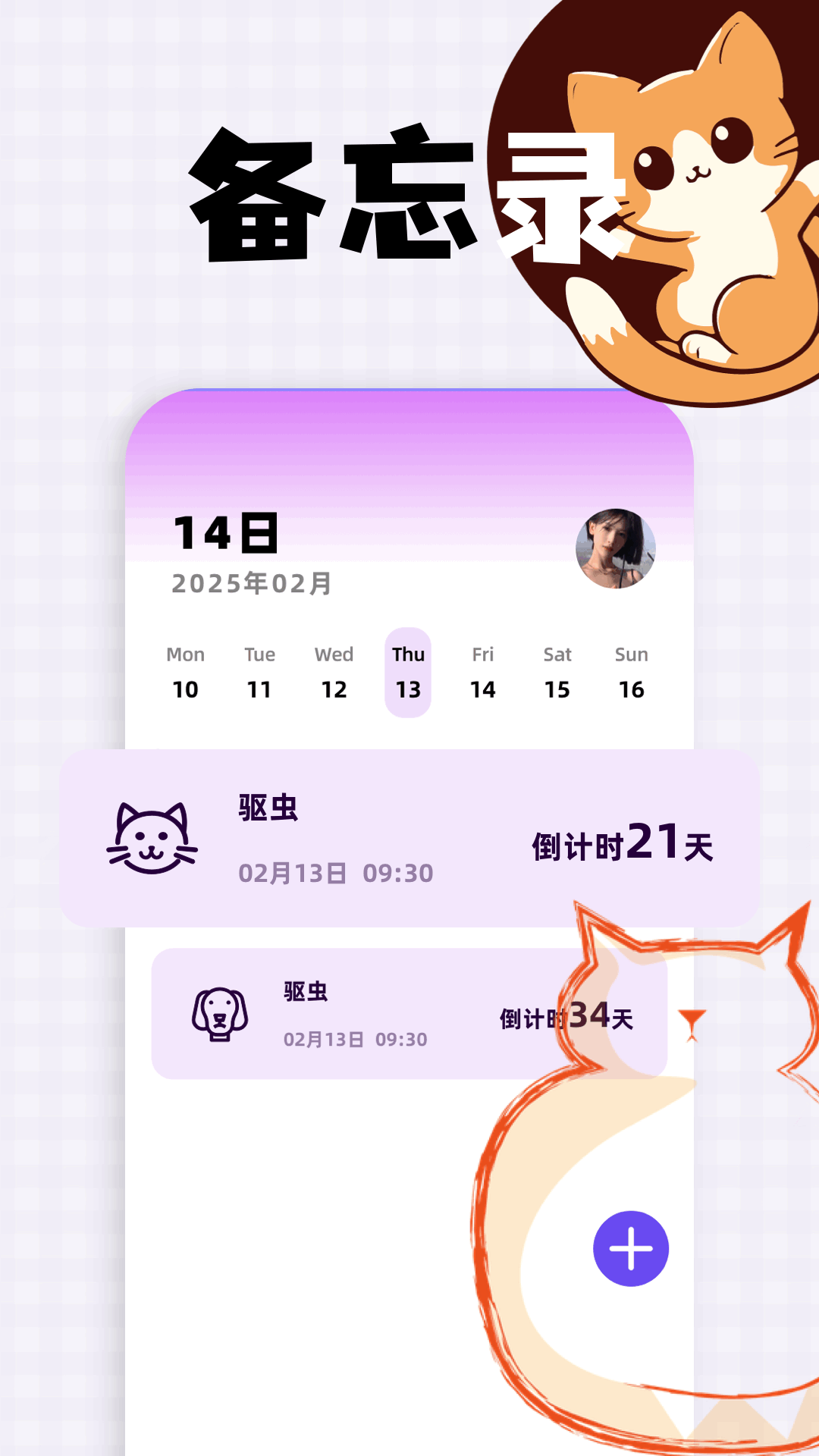 精彩截图-猫咪请就位2026官方新版