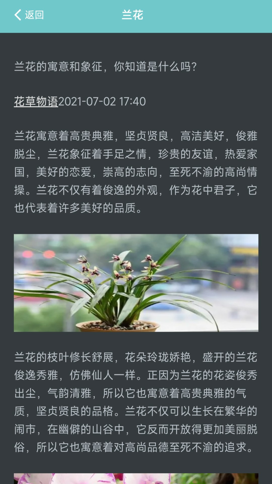 精彩截图-我的花店2025官方新版