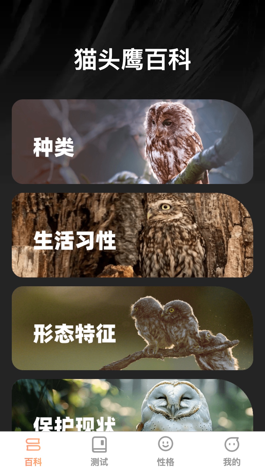 精彩截图-猫头鹰趣识2026官方新版