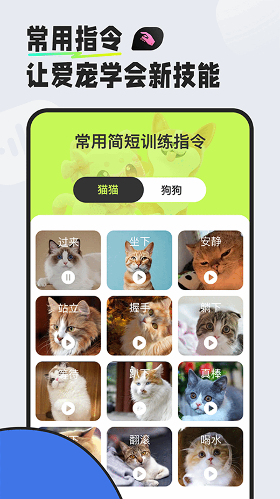 精彩截图-猫狗对话翻译器2024官方新版