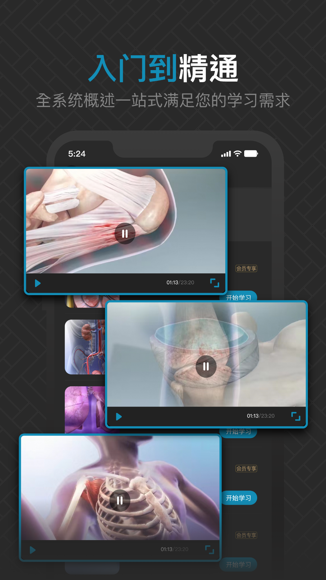 精彩截图-3D肌肉解剖2025官方新版