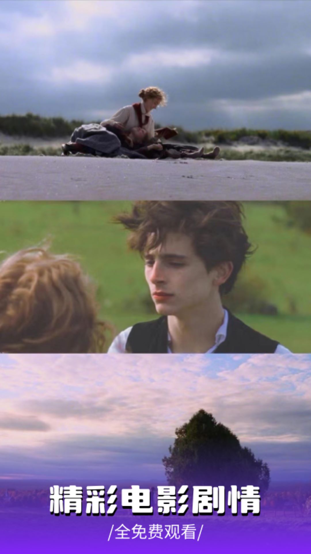 精彩截图-大渔视频2026官方新版