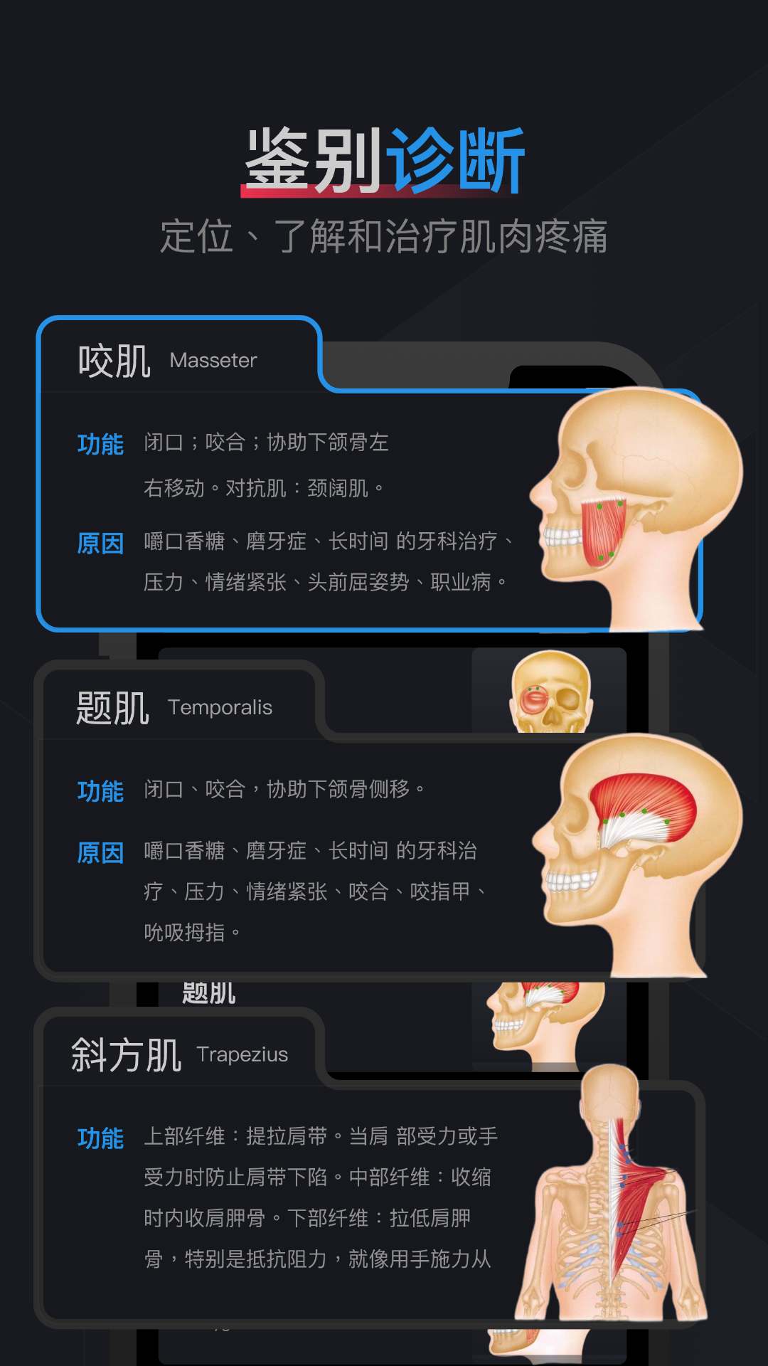 精彩截图-肌肉激痛点图谱2026官方新版