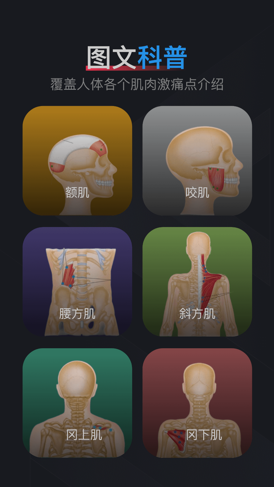 精彩截图-肌肉激痛点图谱2026官方新版