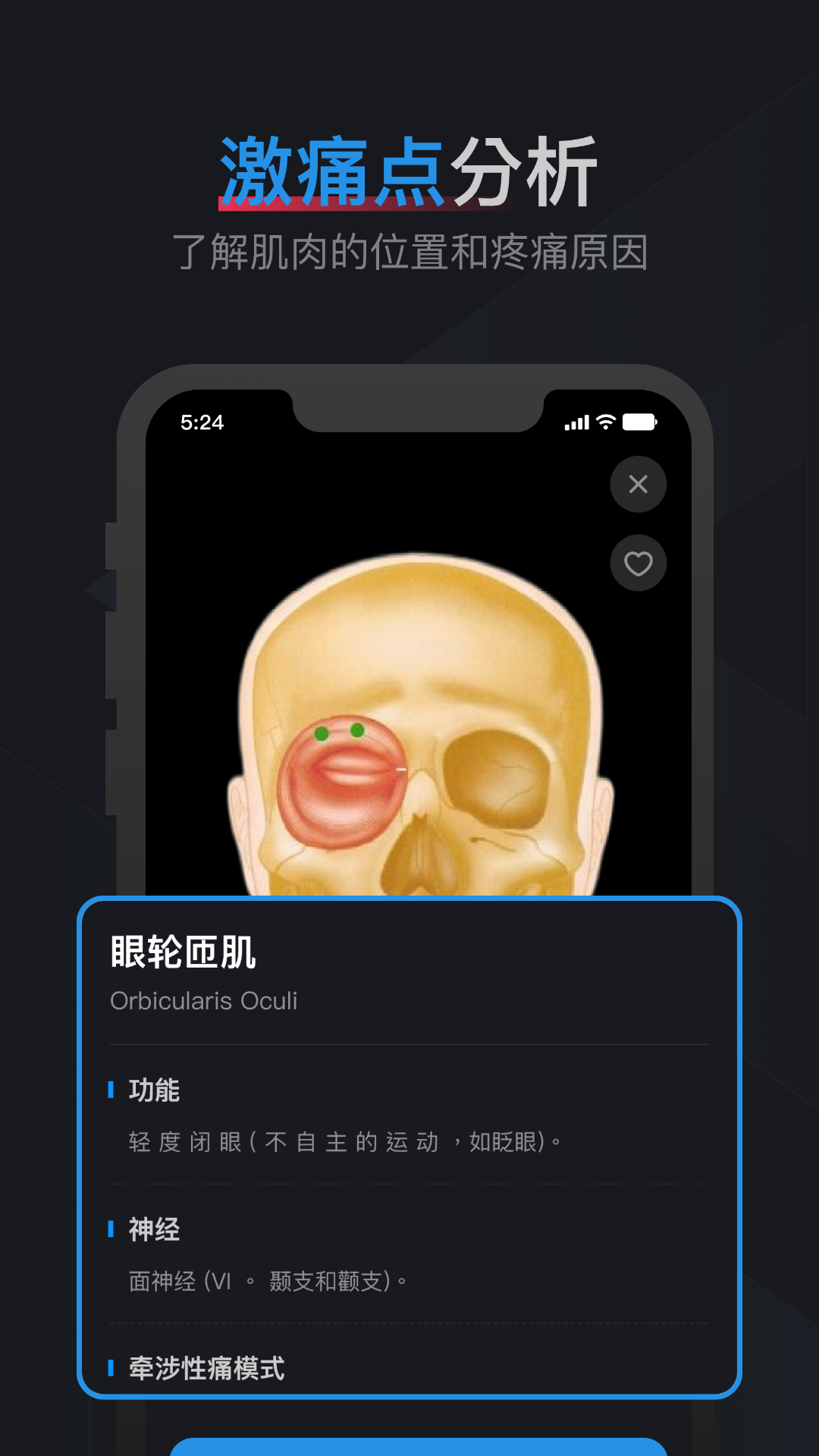 肌肉激痛点图谱截图