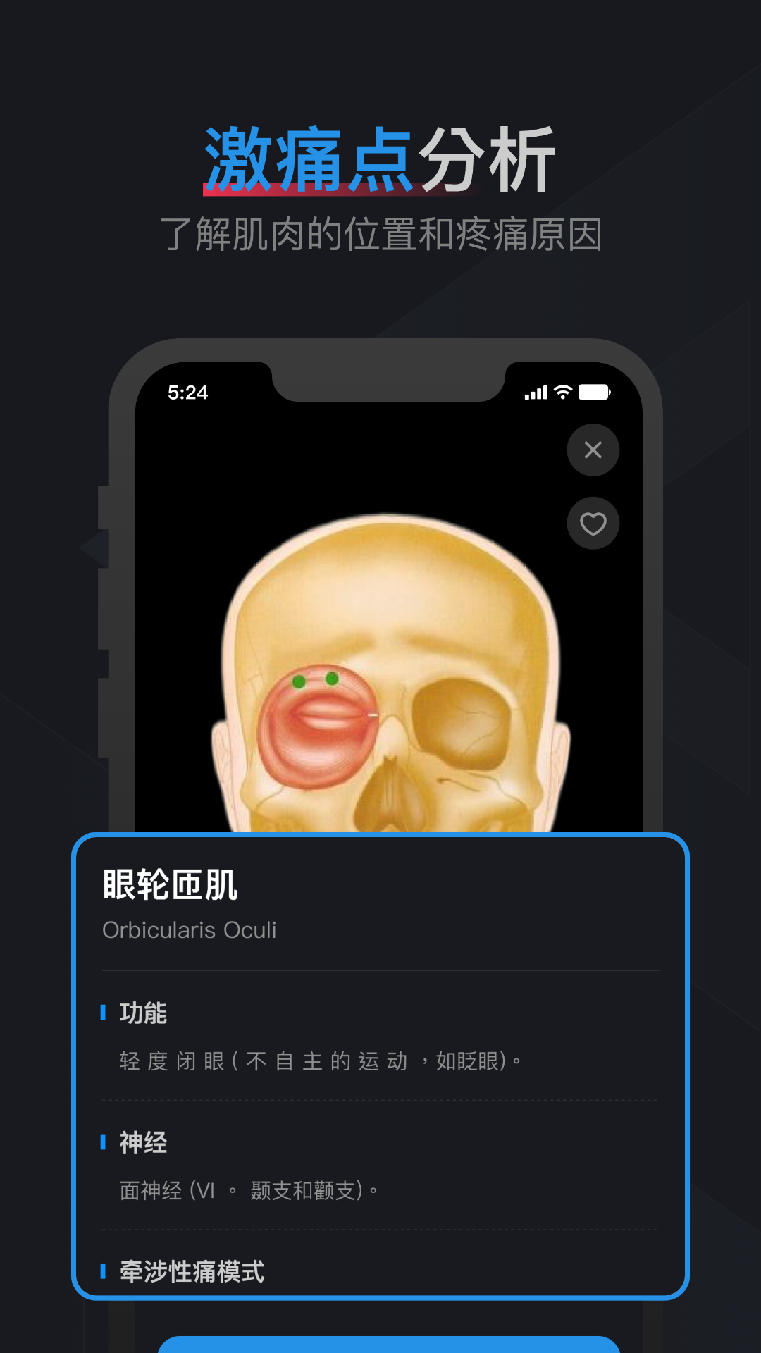 精彩截图-肌肉激痛点图谱2026官方新版