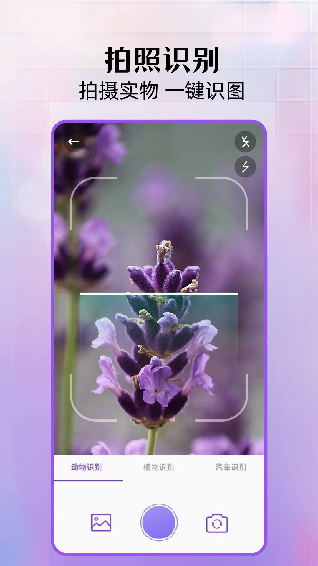 精彩截图-花间空间2026官方新版