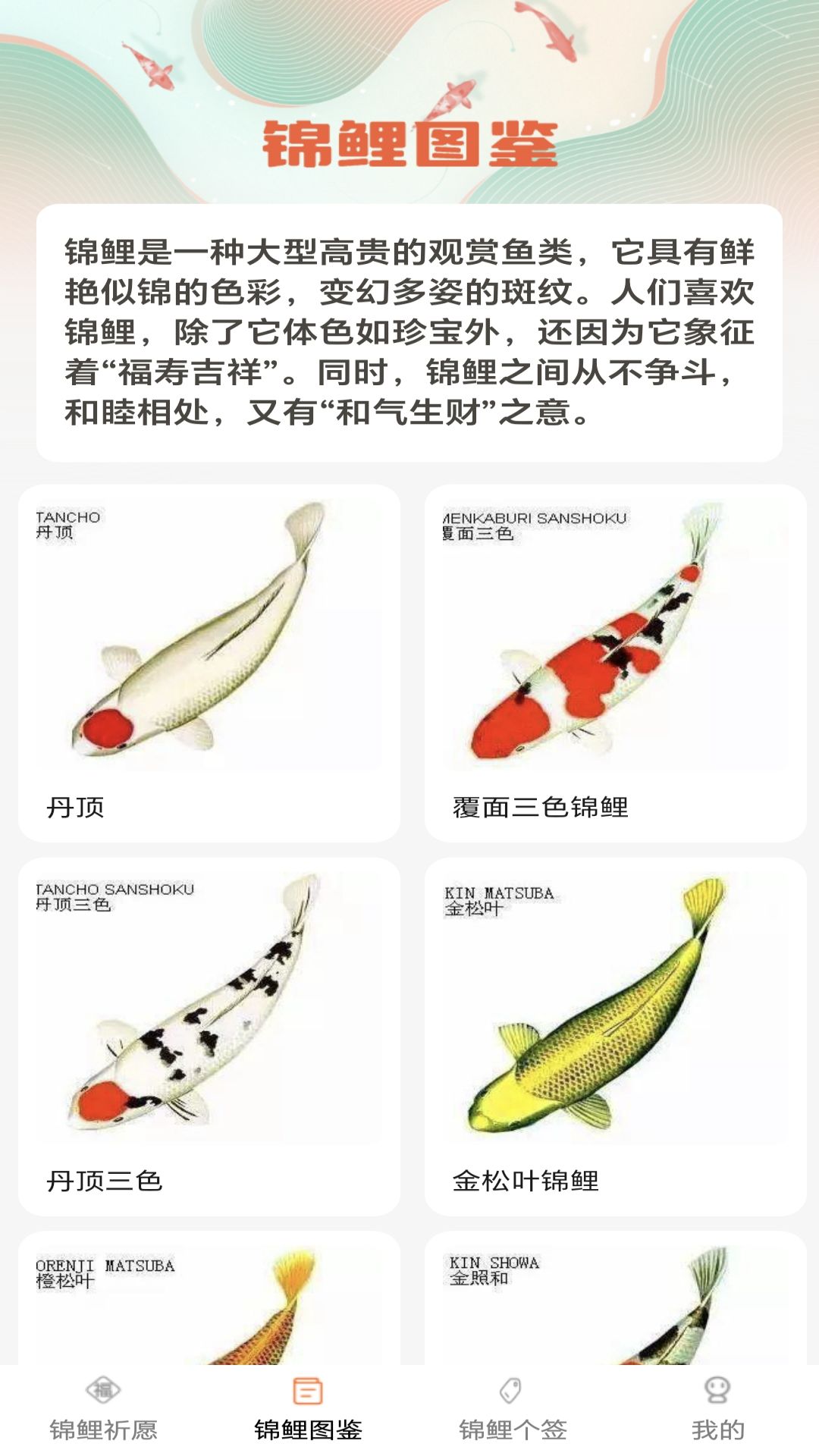 精彩截图-锦鲤有福2025官方新版
