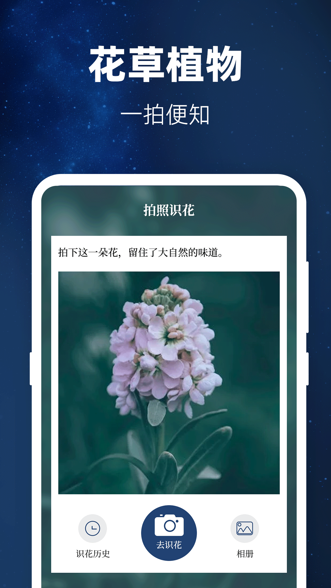 精彩截图-验钞工具2026官方新版