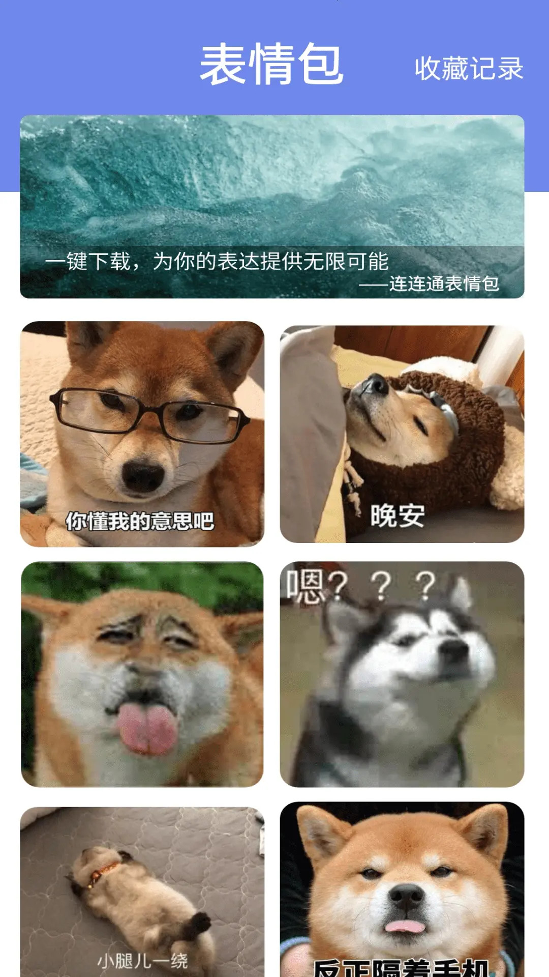 精彩截图-WiFi连连通2025官方新版