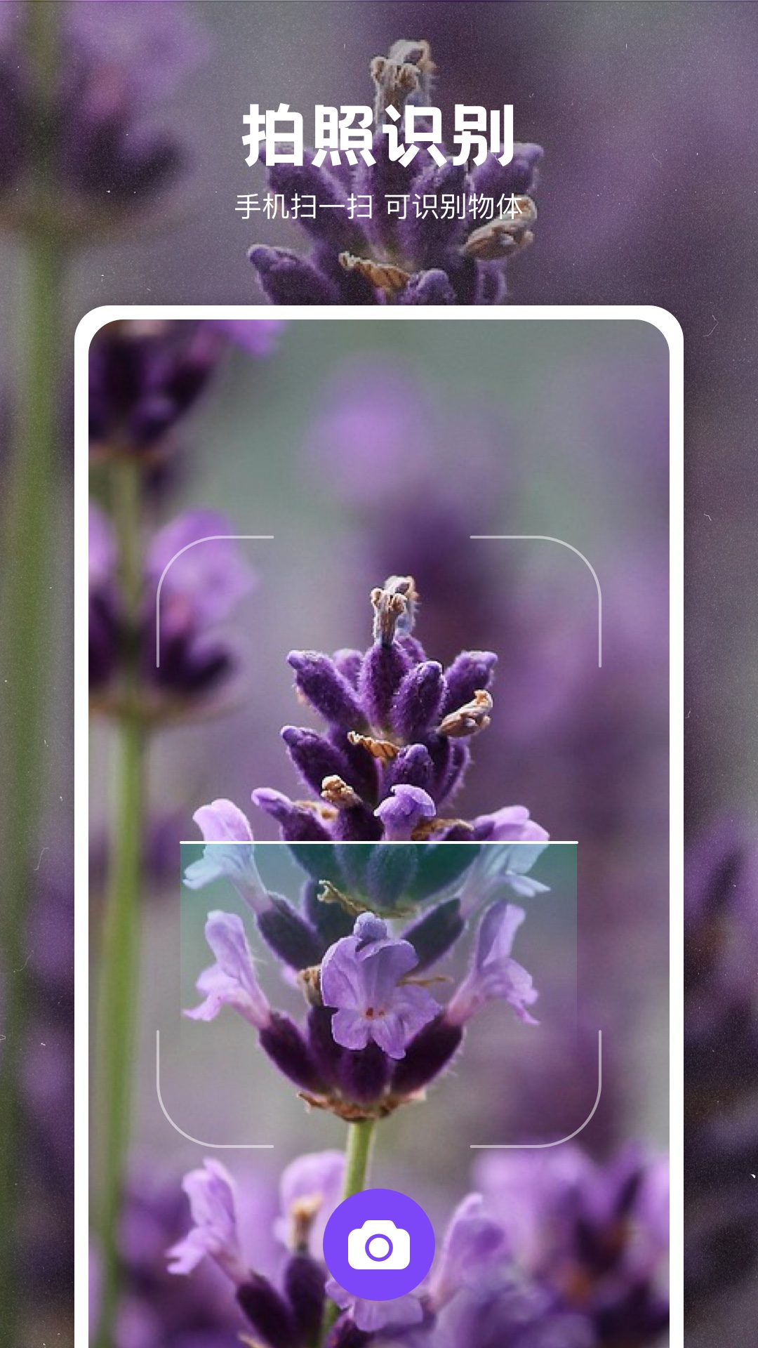 精彩截图-识物2026官方新版