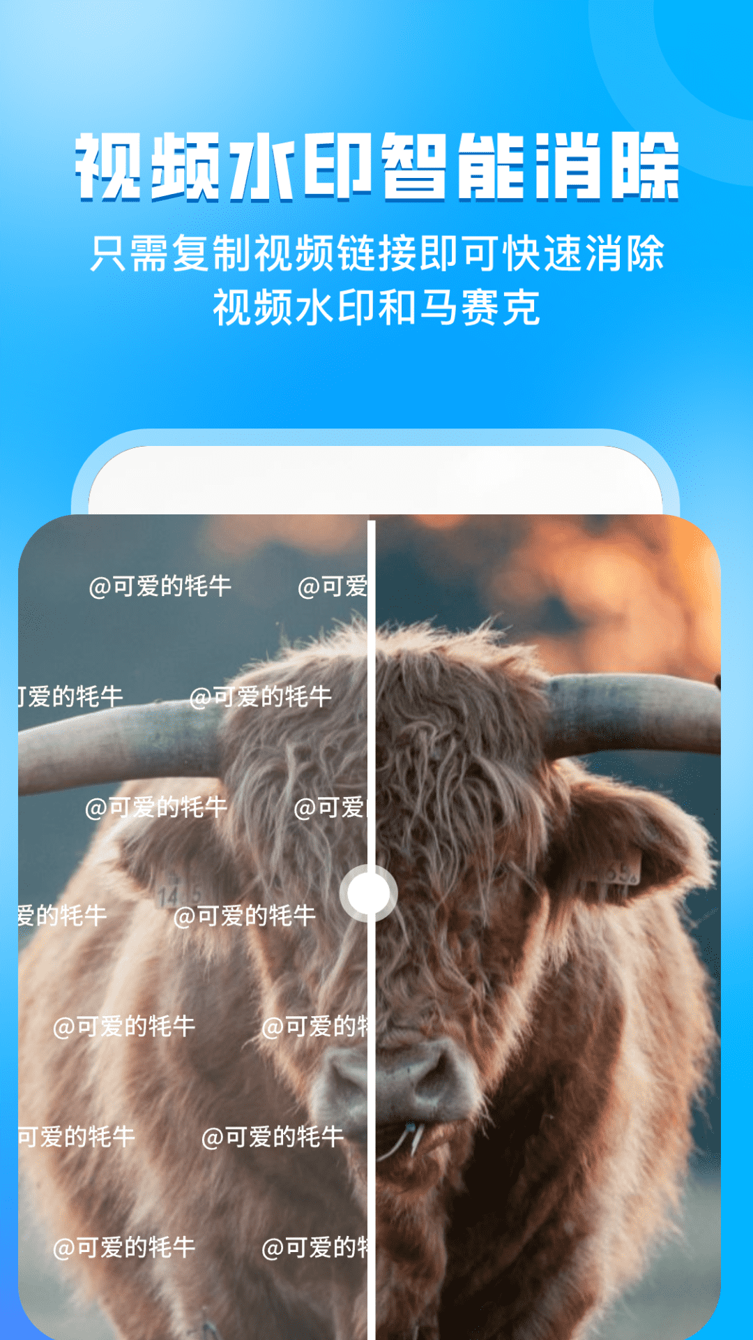 精彩截图-指尖虚拟摄像头2026官方新版