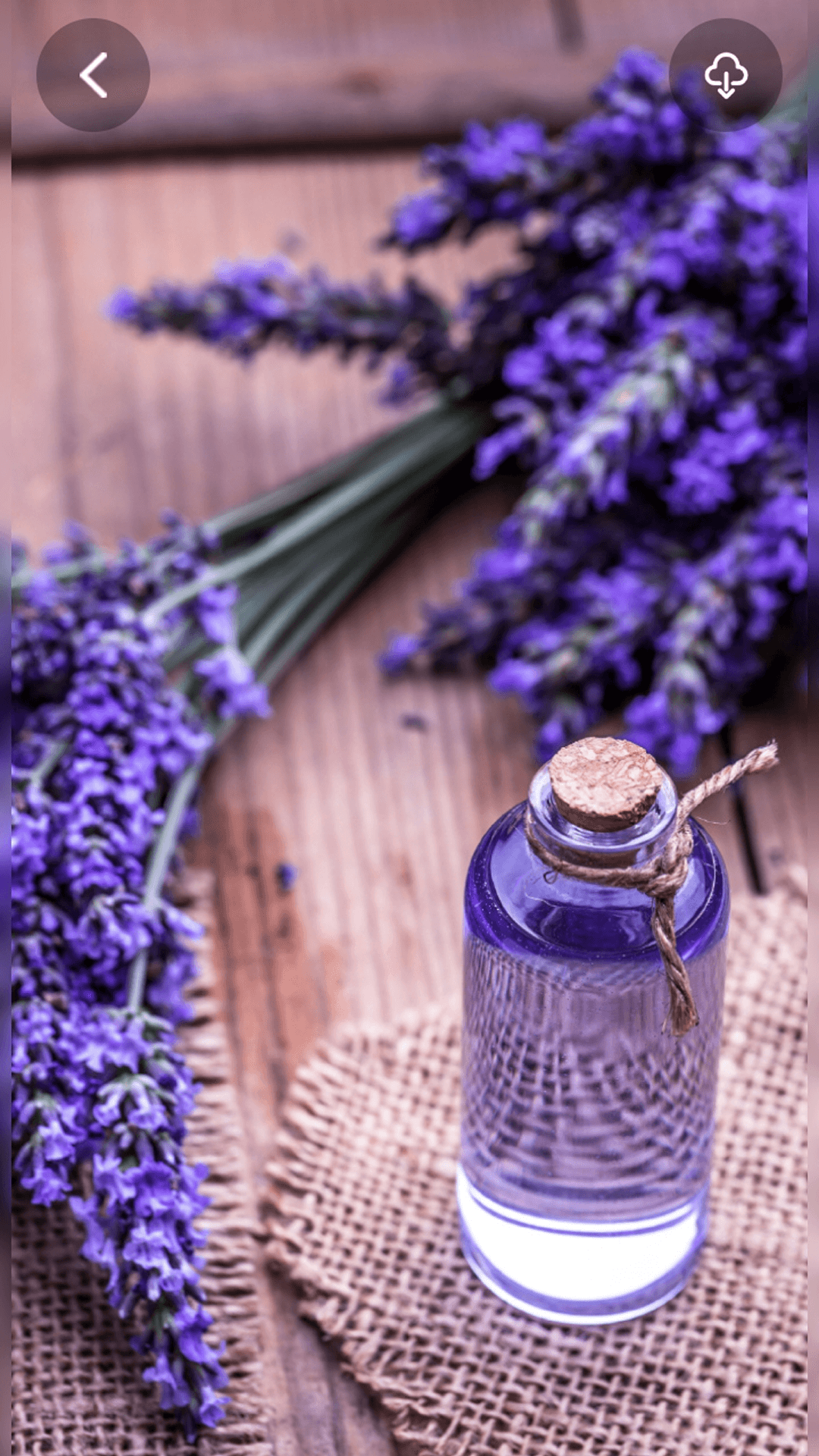 精彩截图-好剧屋投屏2026官方新版