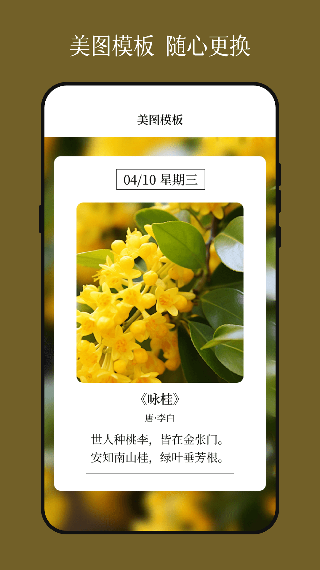 花草识别截图