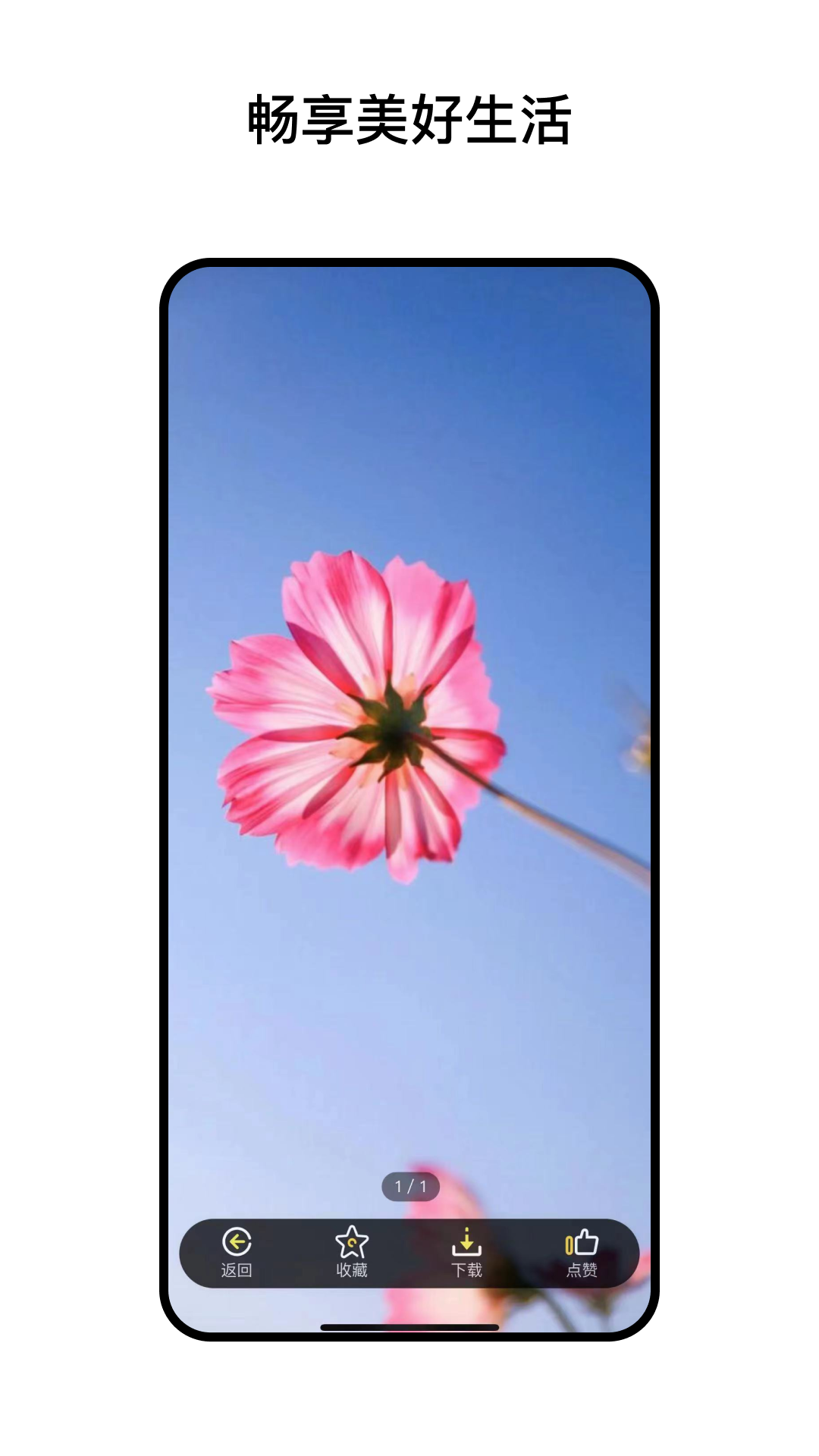 精彩截图-阅小花2025官方新版