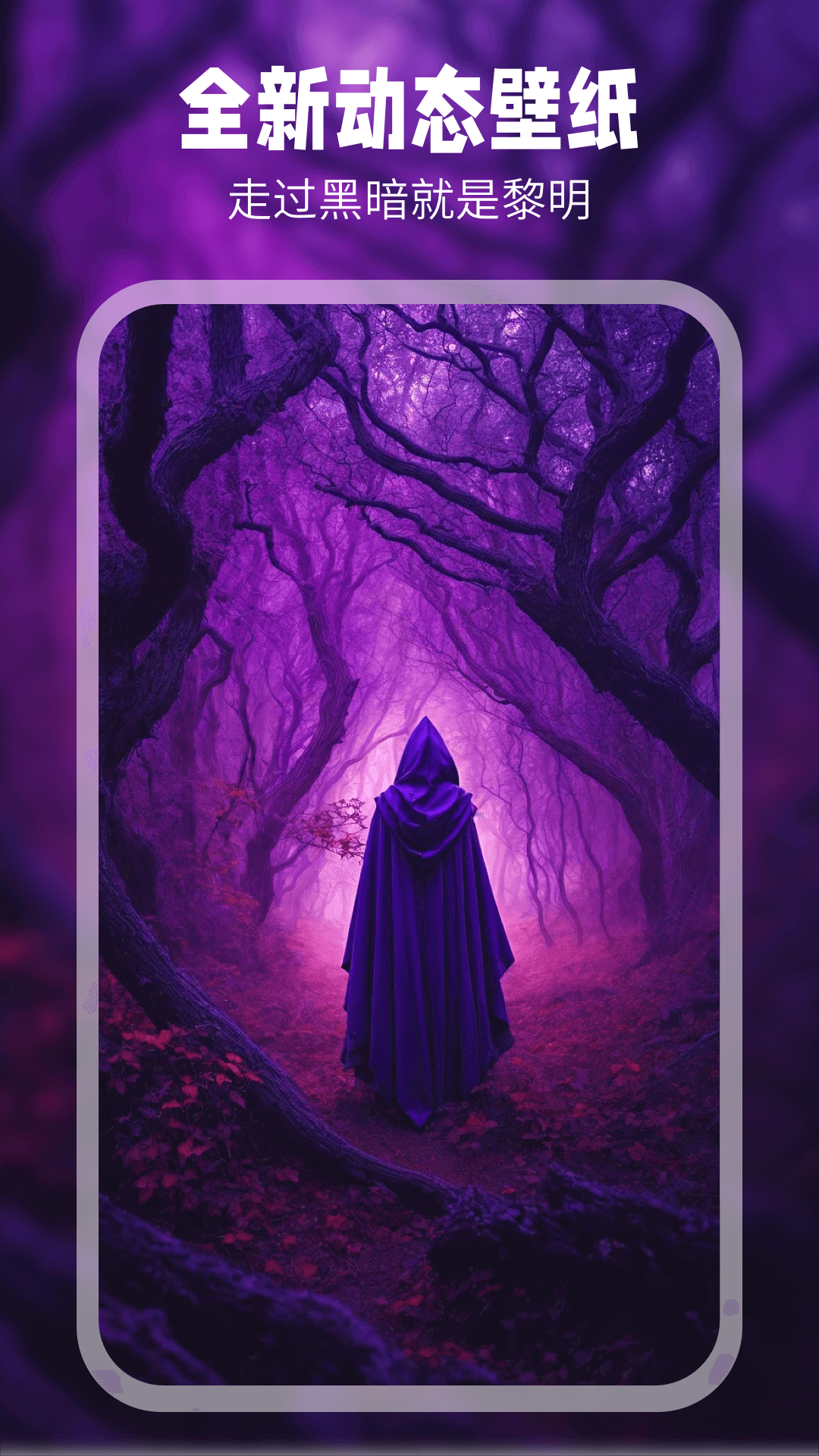 精彩截图-11壁纸2026官方新版