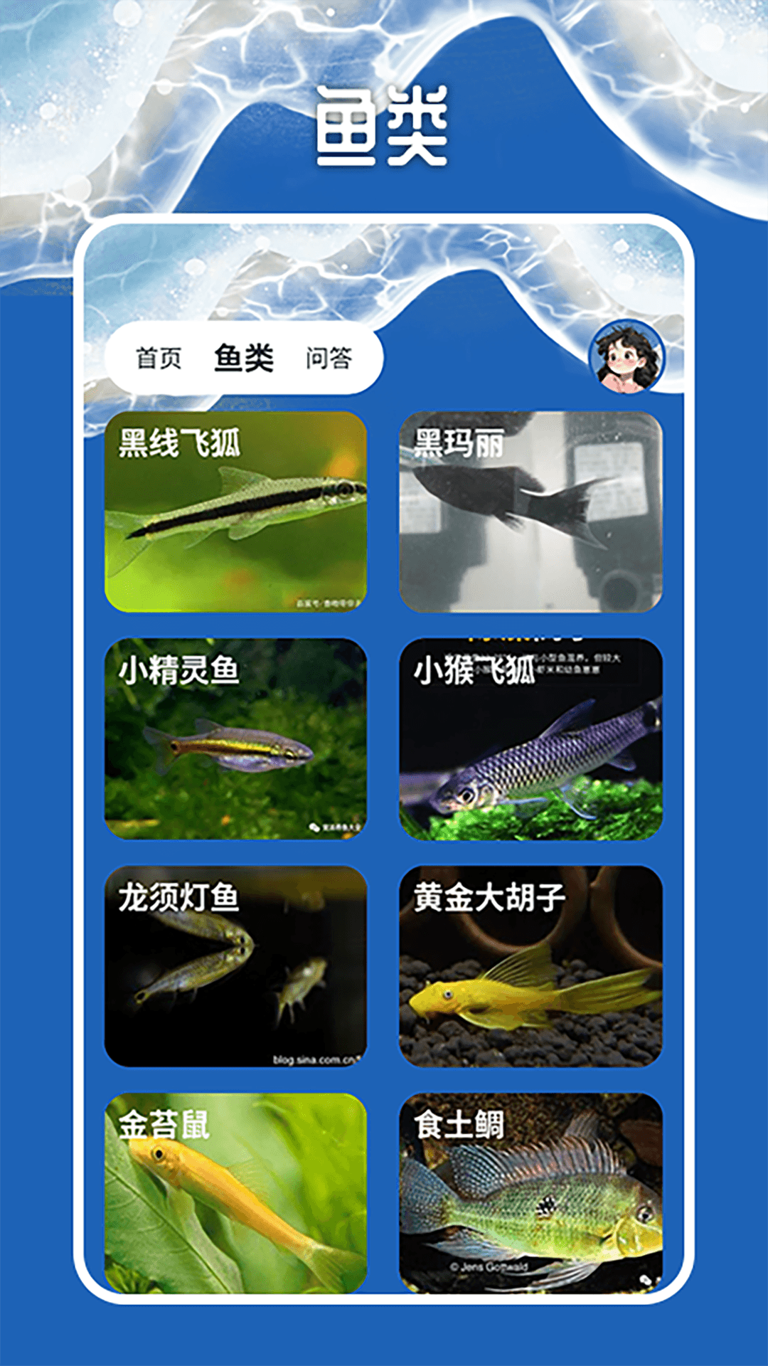 精彩截图-天天钓鱼大师2025官方新版