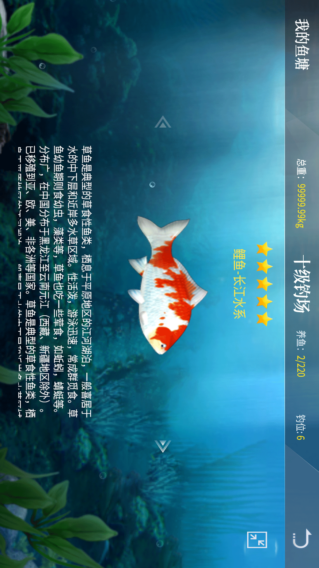 精彩截图-垂钓宗师2025官方新版