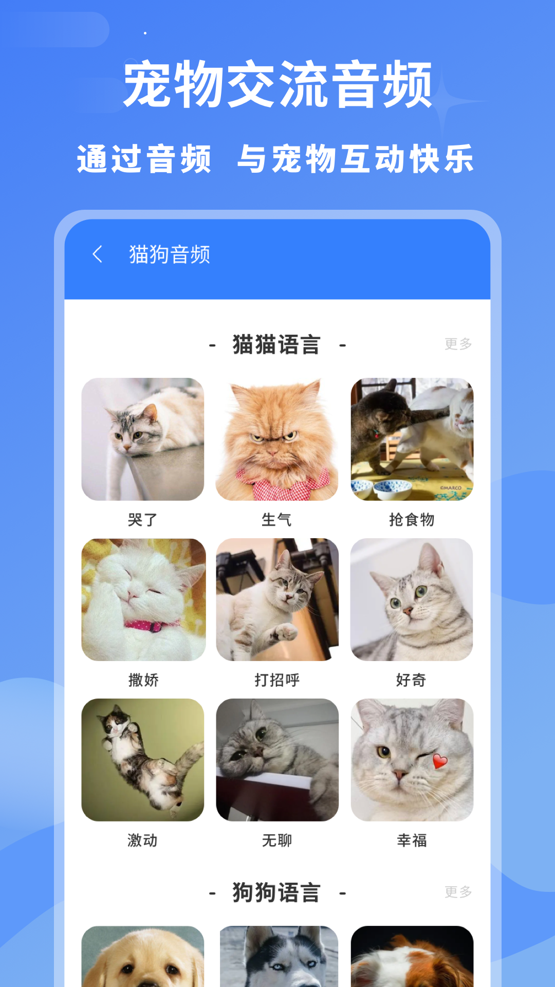 精彩截图-小白交流翻译2025官方新版