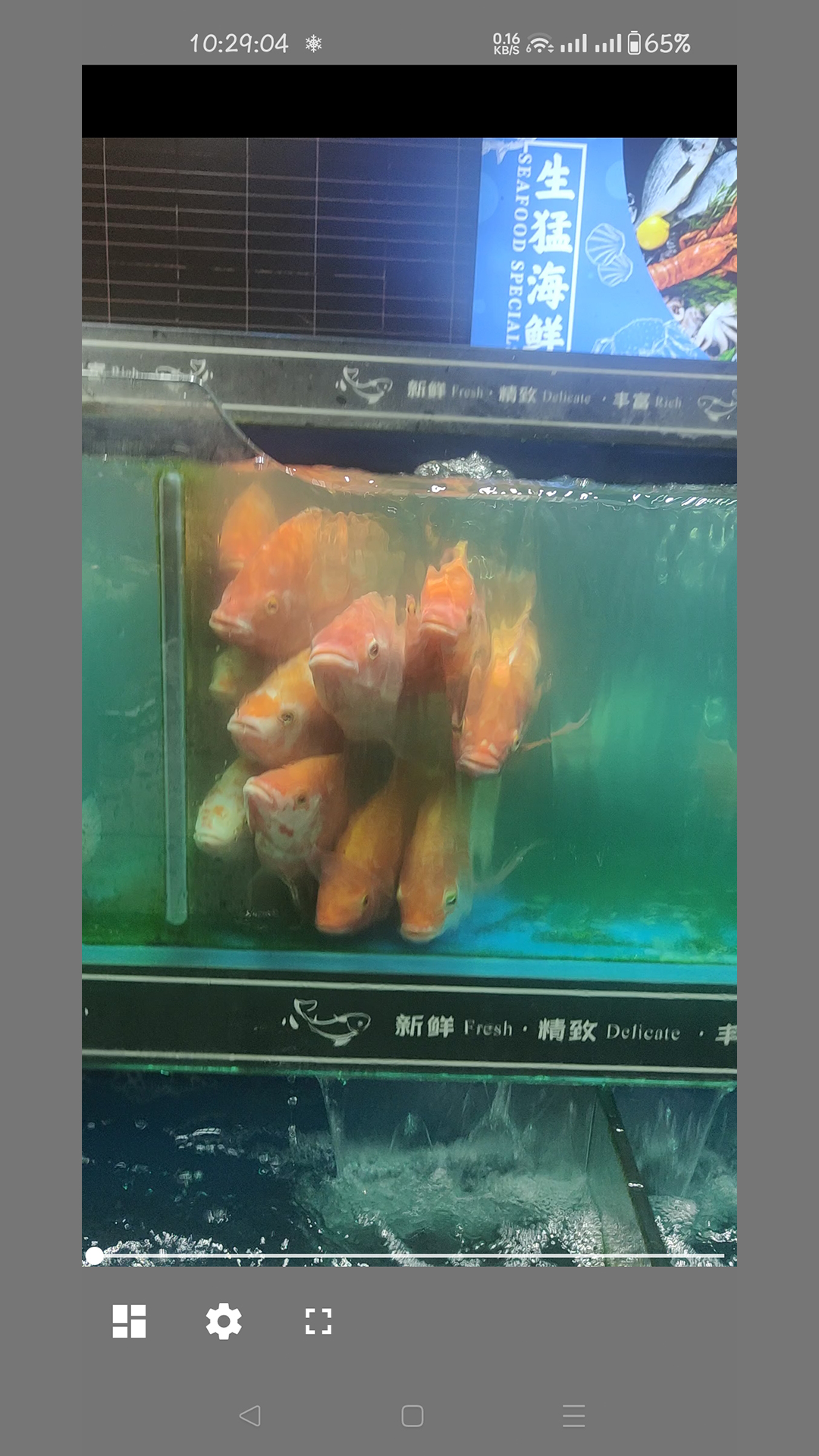 精彩截图-卡片看图2026官方新版