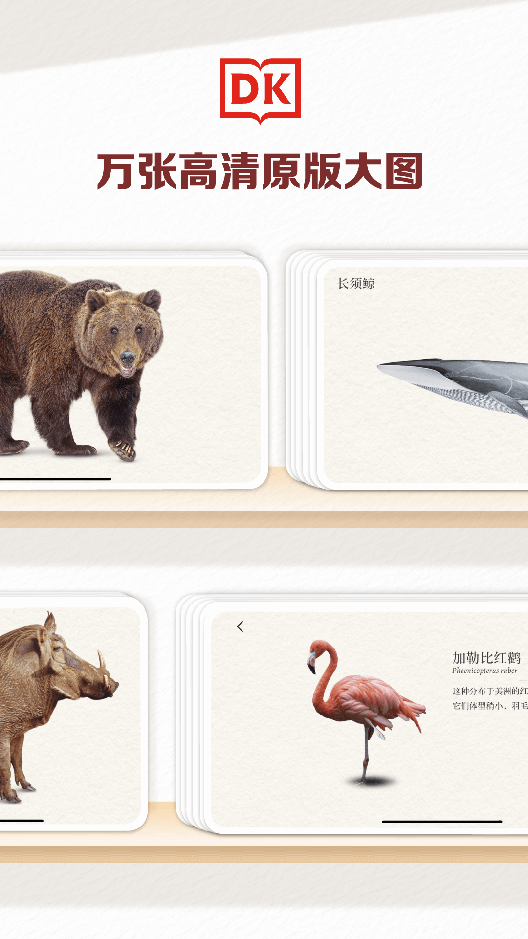 精彩截图-DK百科2026官方新版