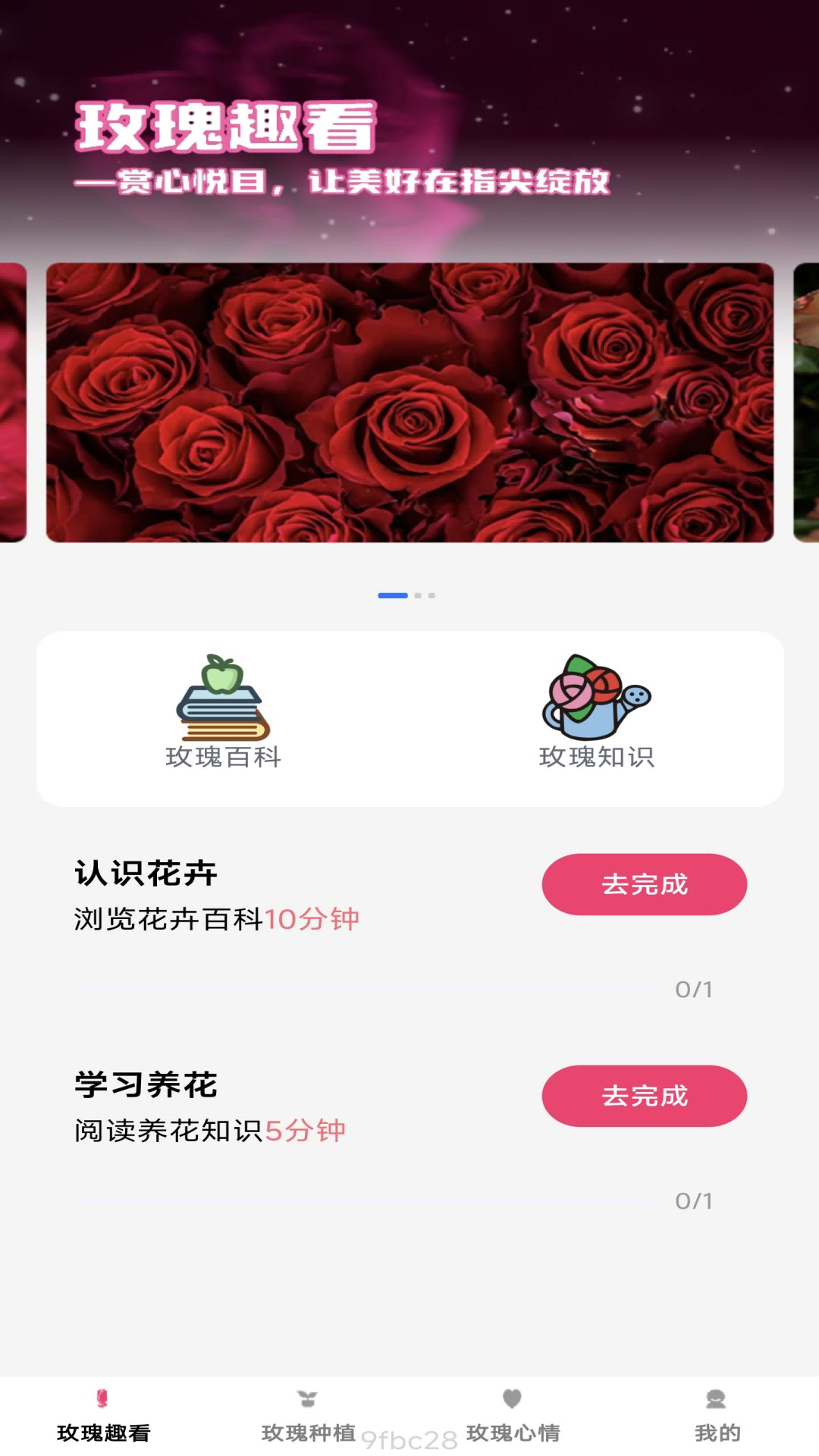精彩截图-趣看玫瑰2025官方新版