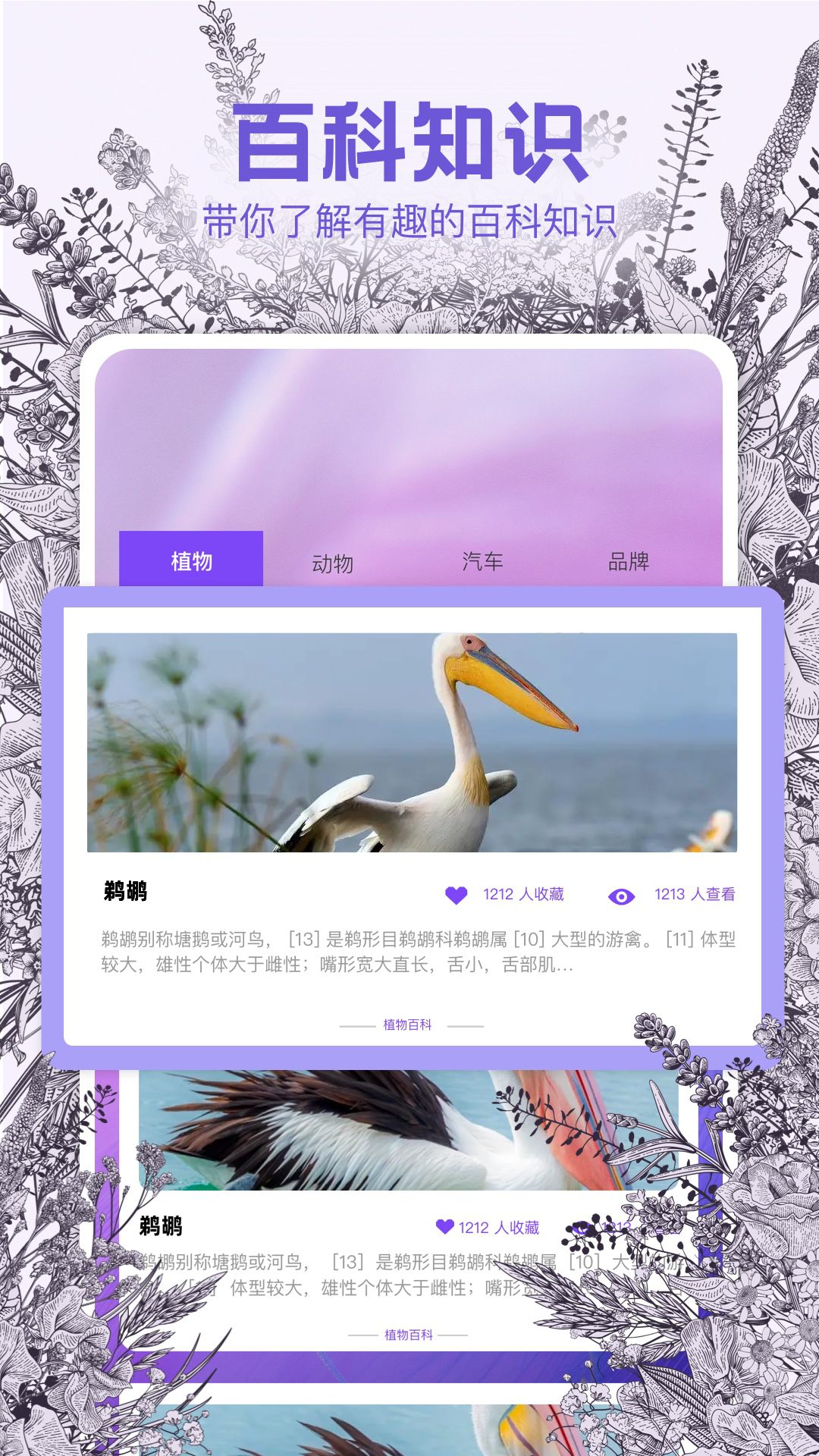 精彩截图-识物相机2026官方新版