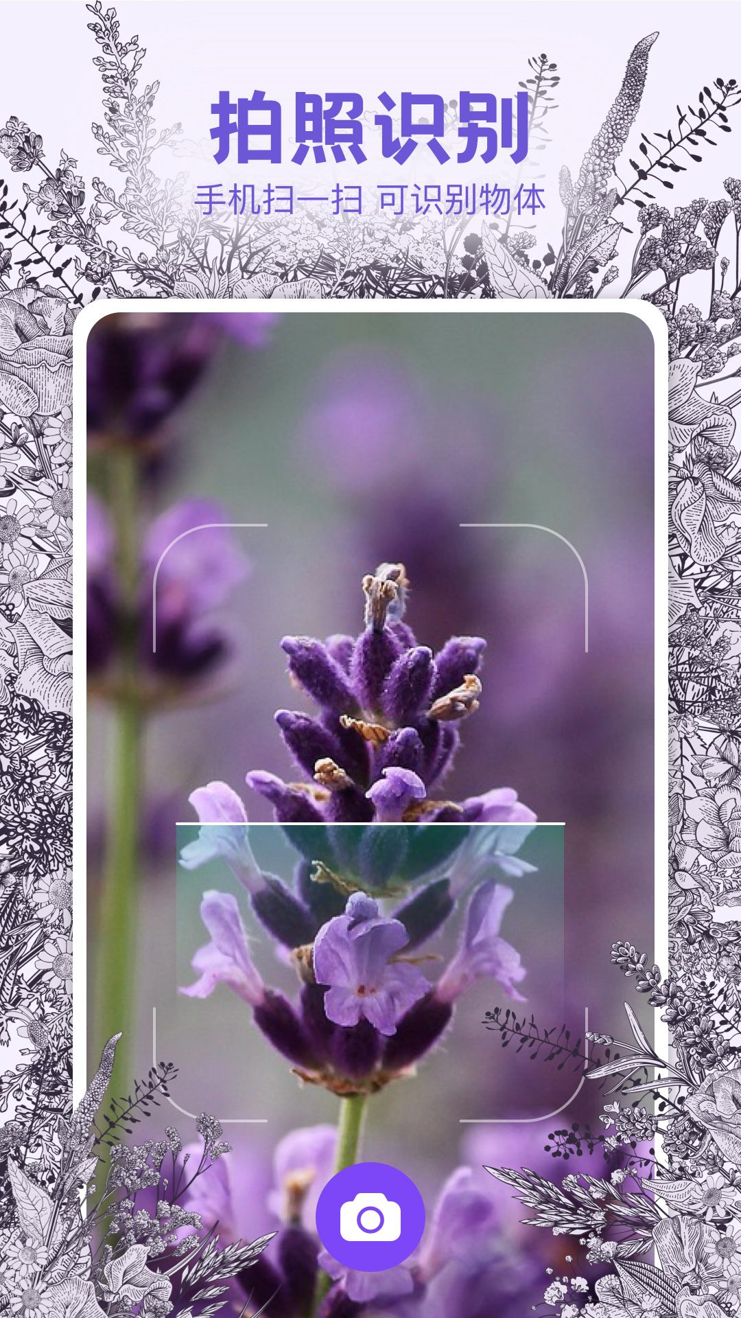 精彩截图-识物相机2026官方新版