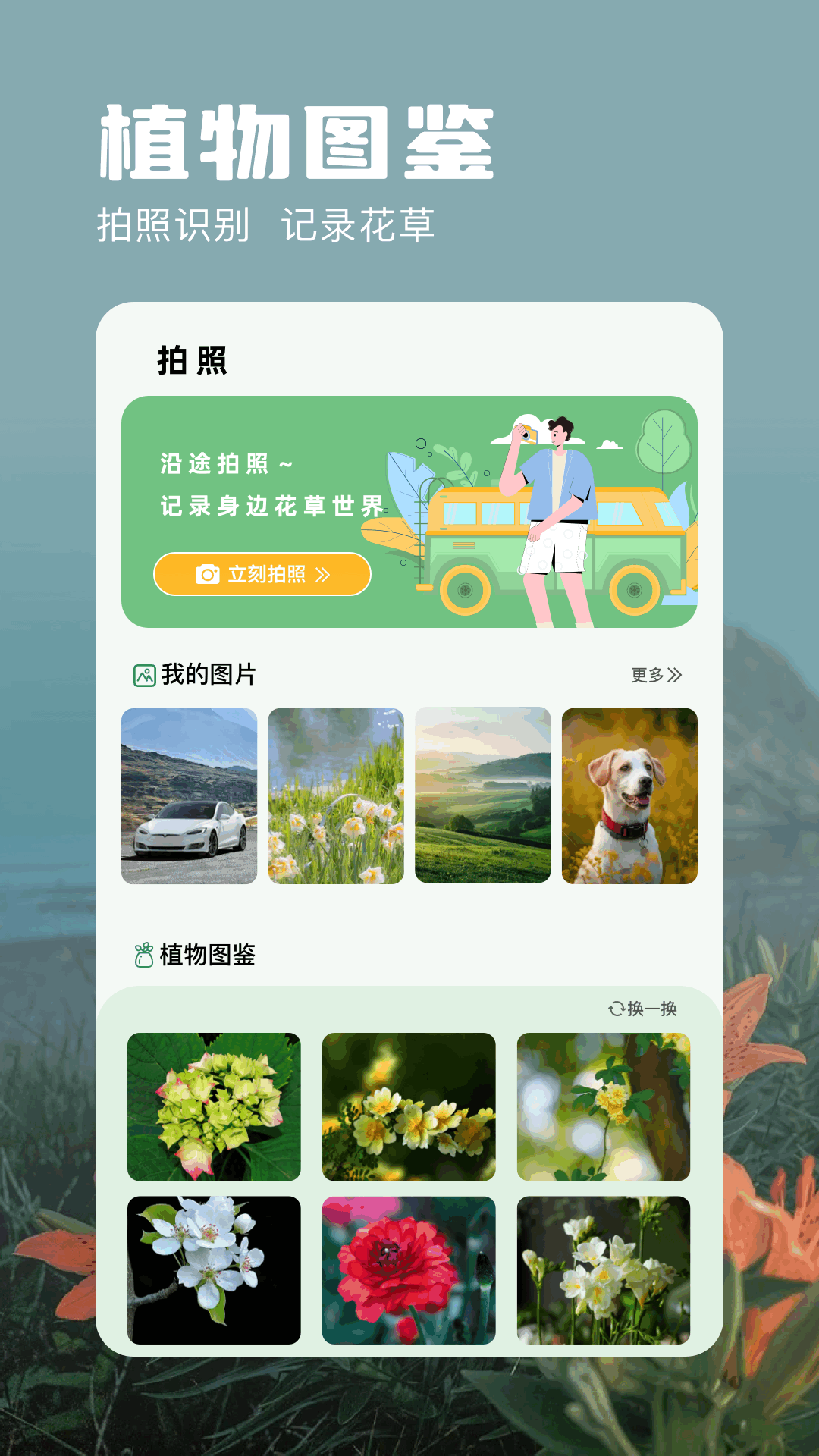 精彩截图-识物相机2026官方新版