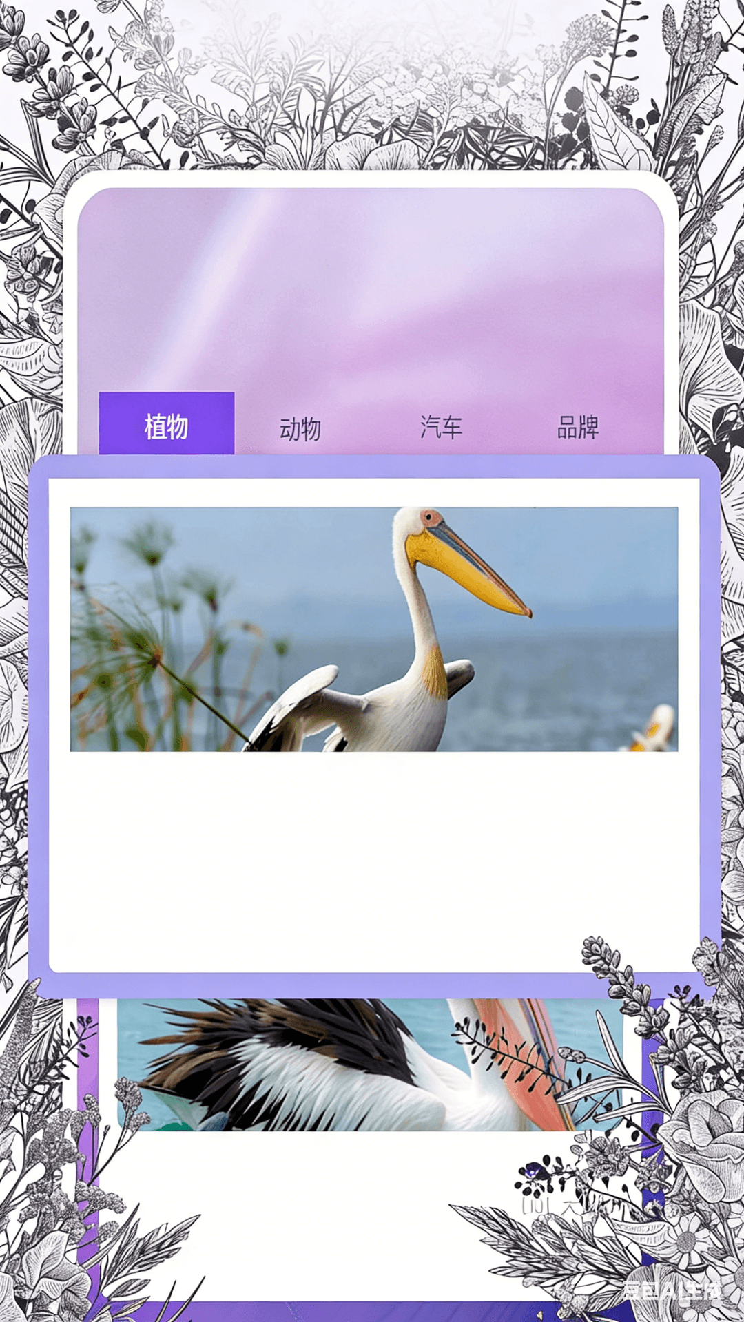 精彩截图-识物相机2026官方新版