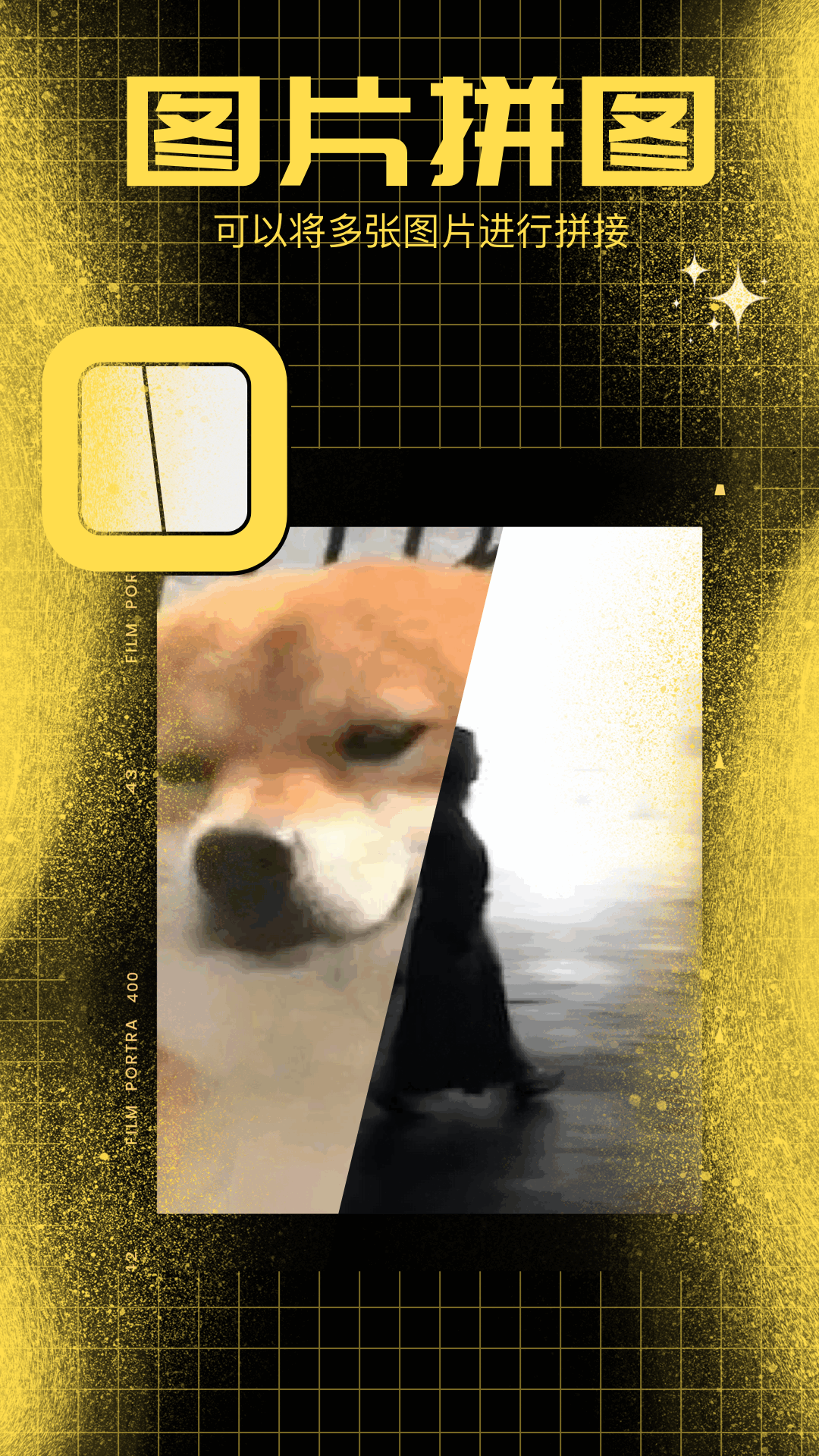 精彩截图-百变熊猫2026官方新版