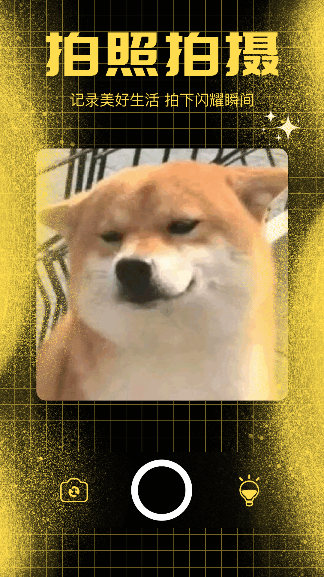 精彩截图-百变熊猫2026官方新版