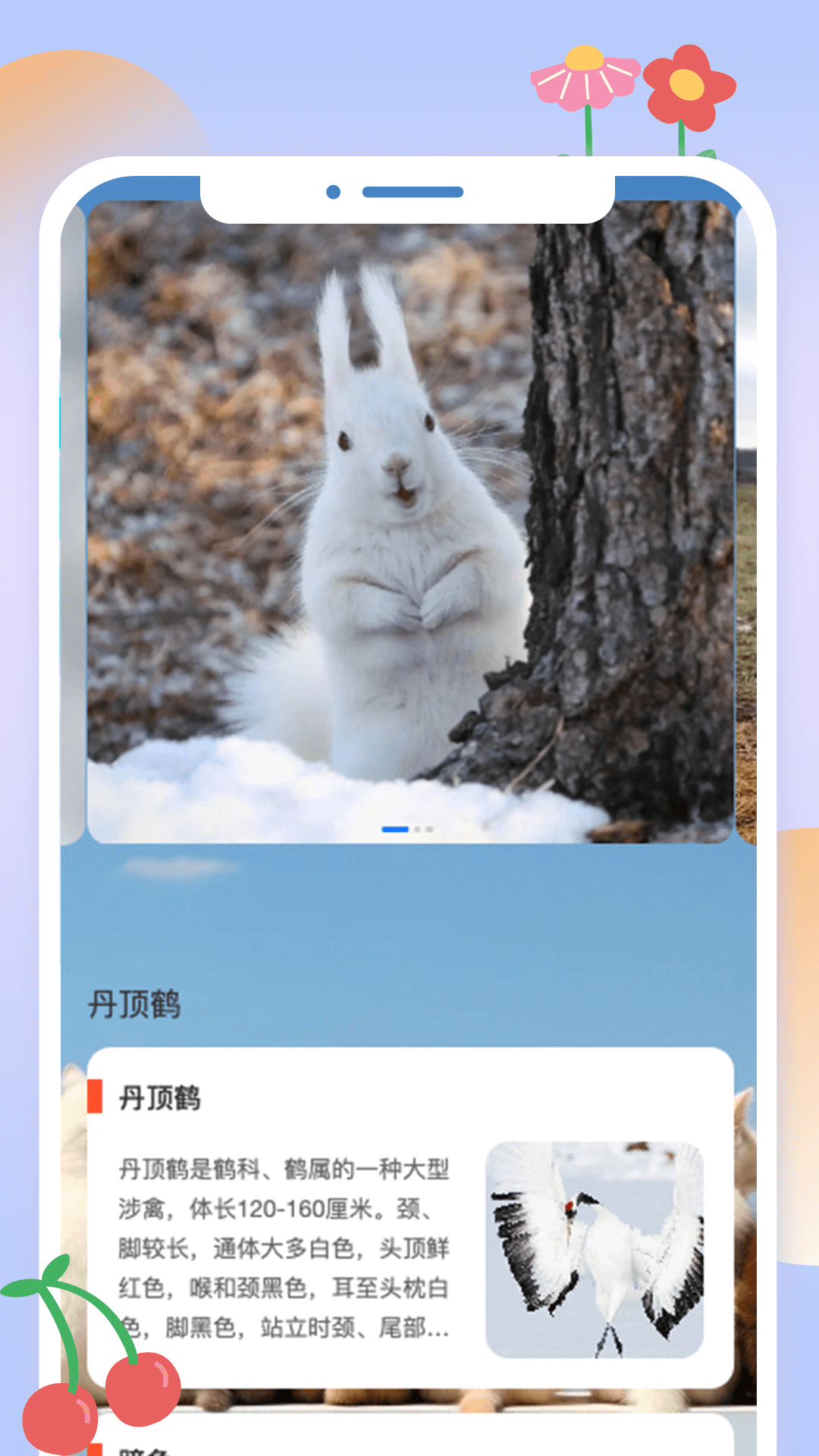 精彩截图-动物刷刷2025官方新版